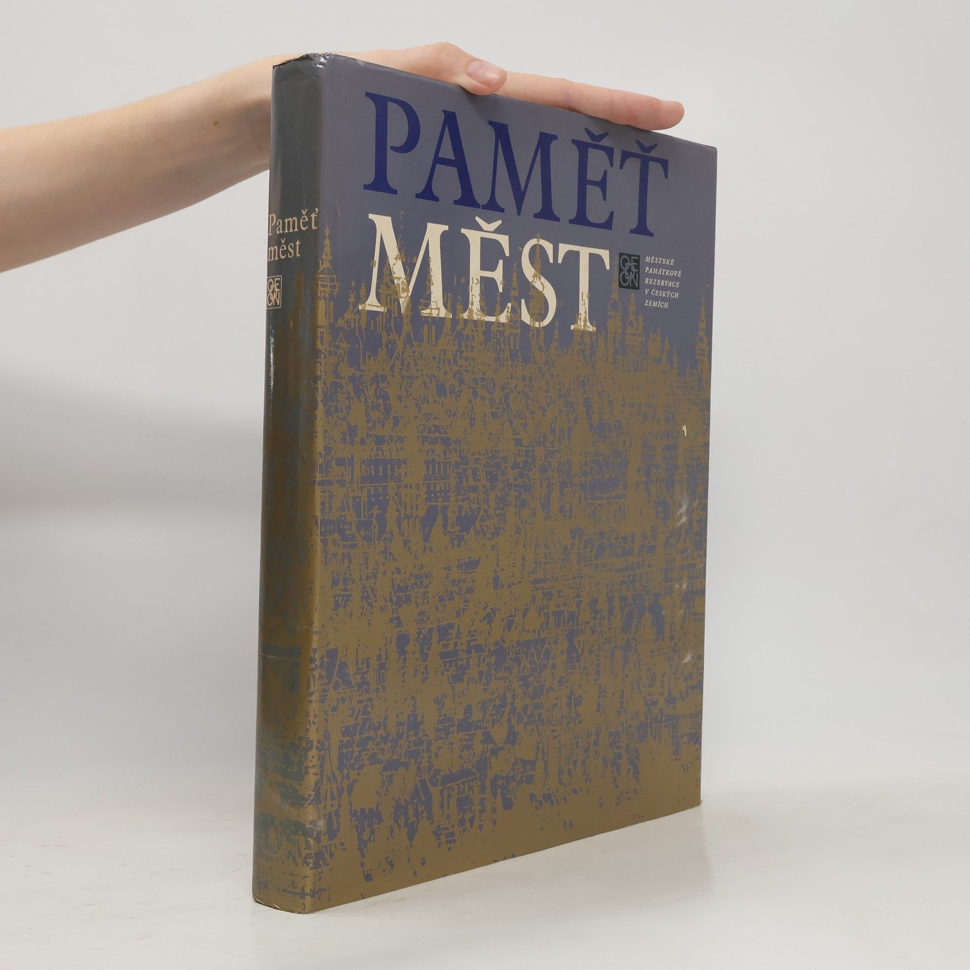 Collectif d'auteurs Paměť měst
