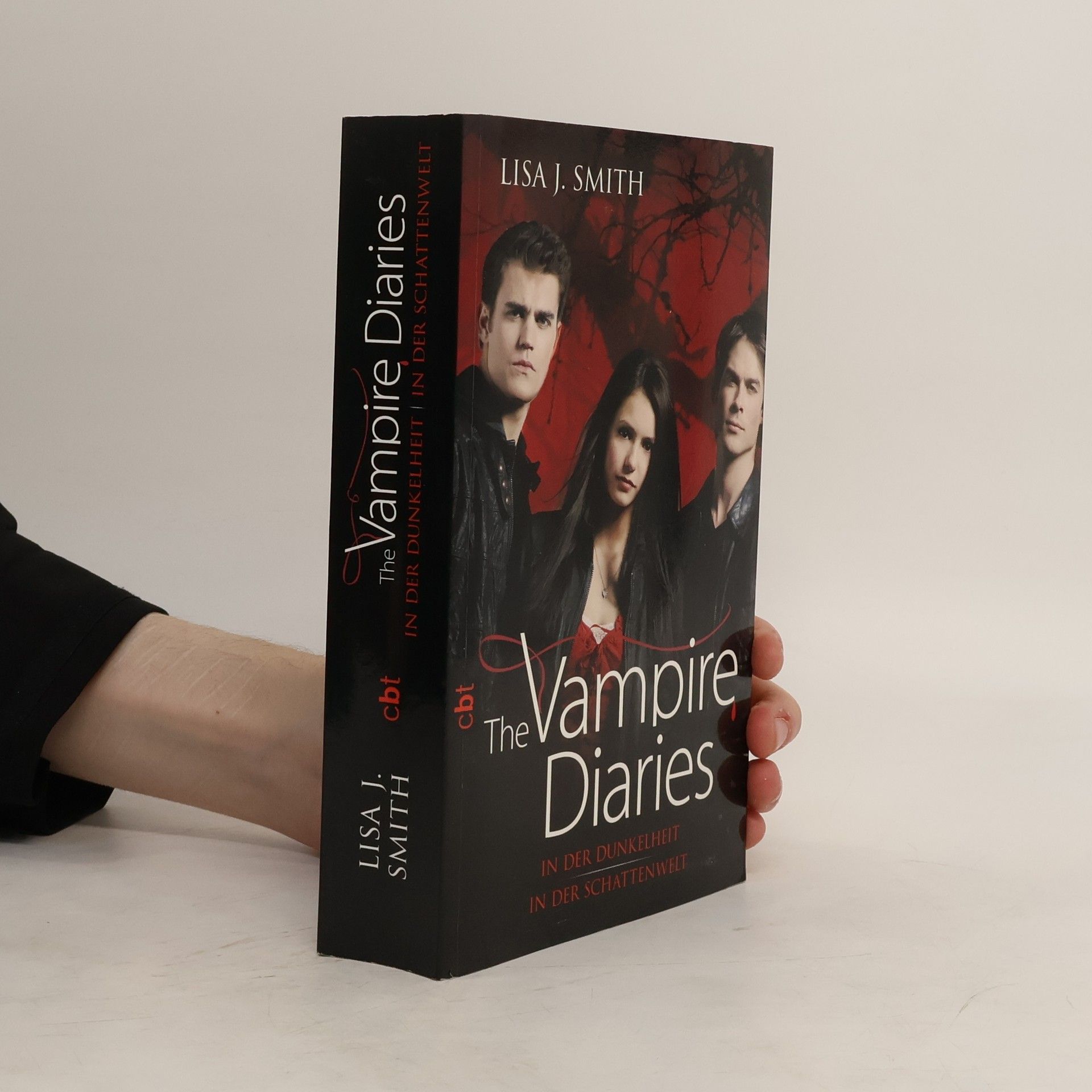 L. J. Smith The vampire diaries - In der Dunkelheit