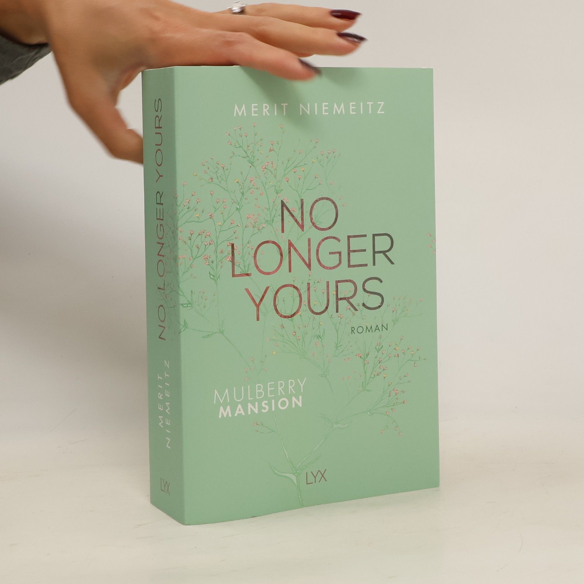 Merit Niemeitz No Longer Yours