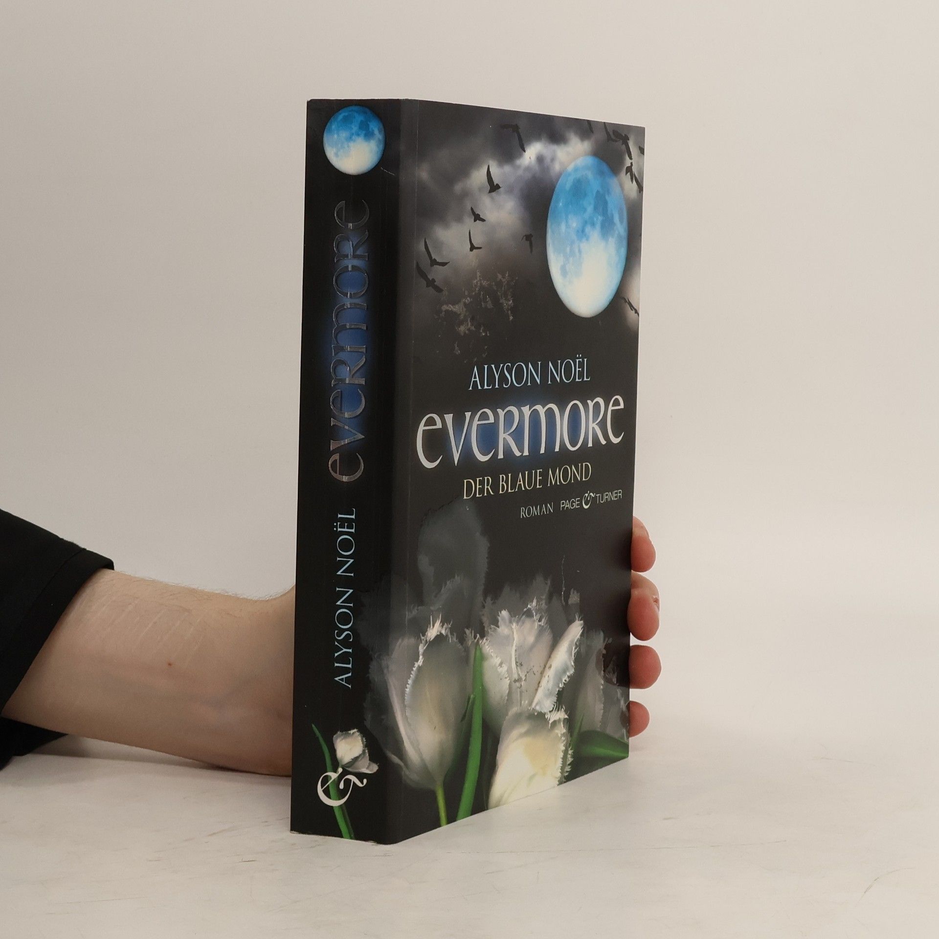Alyson Noël Evermore: Der blaue Mond