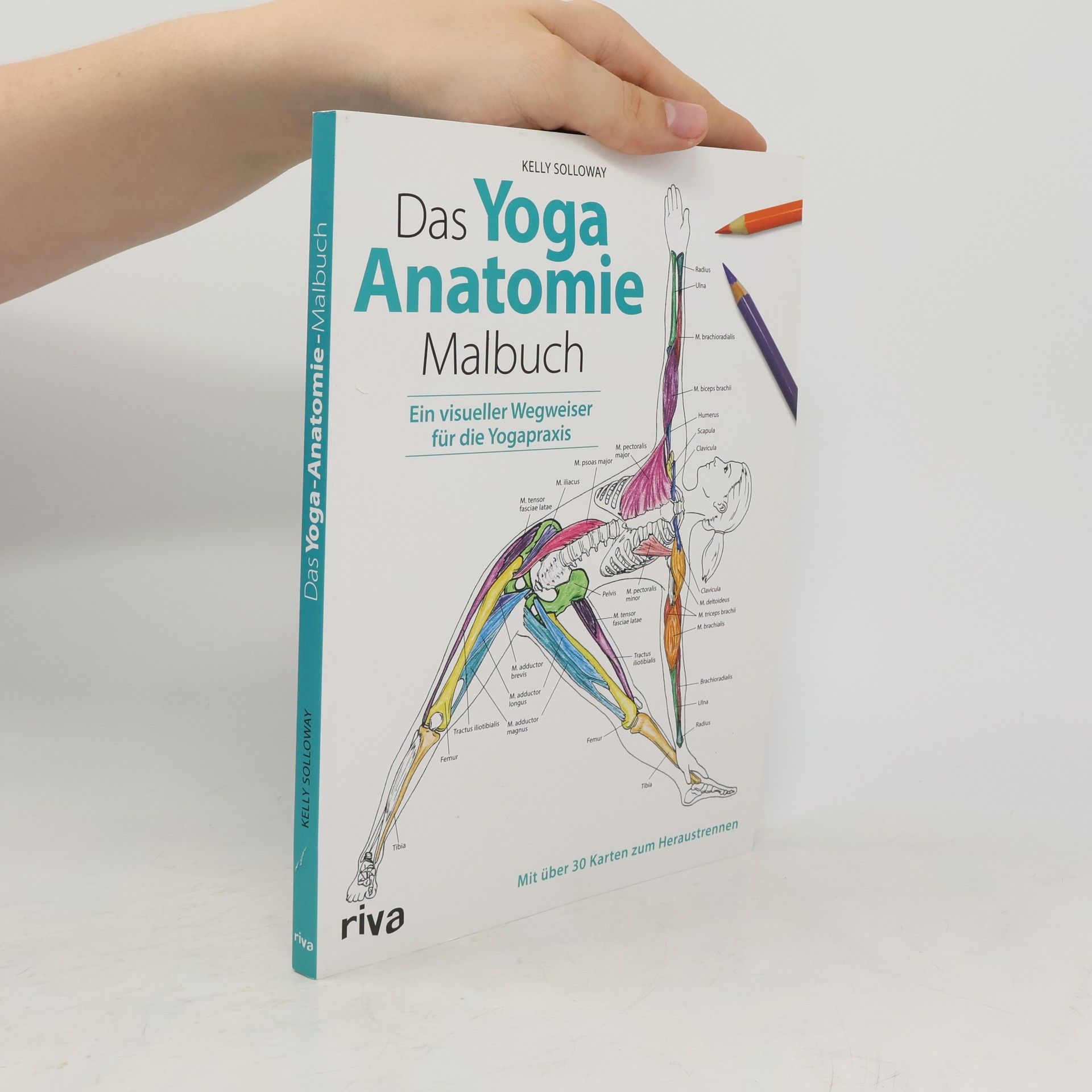 Samantha Stutzman Das Yoga-Anatomie-Malbuch