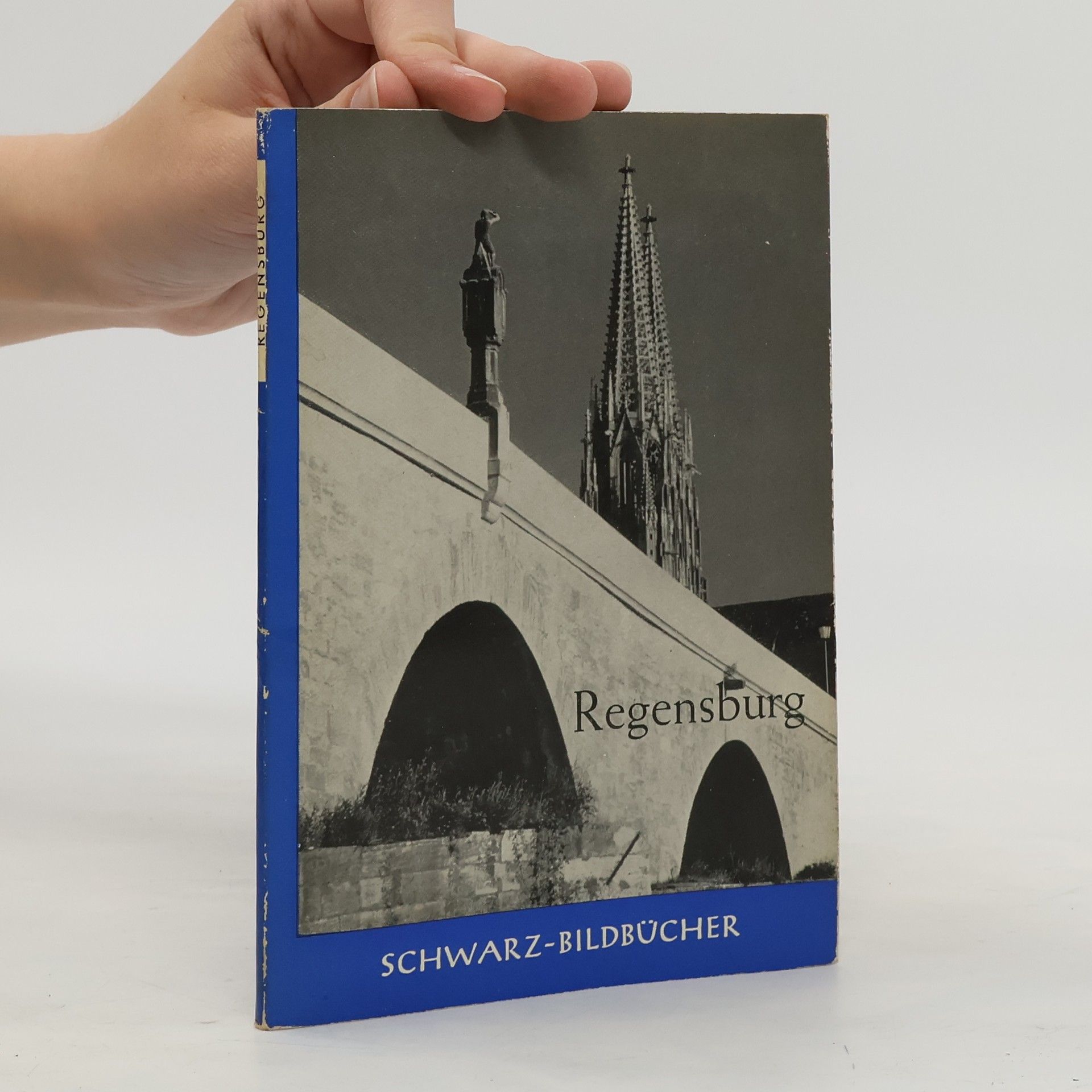 Collectif d'auteurs Regensburg