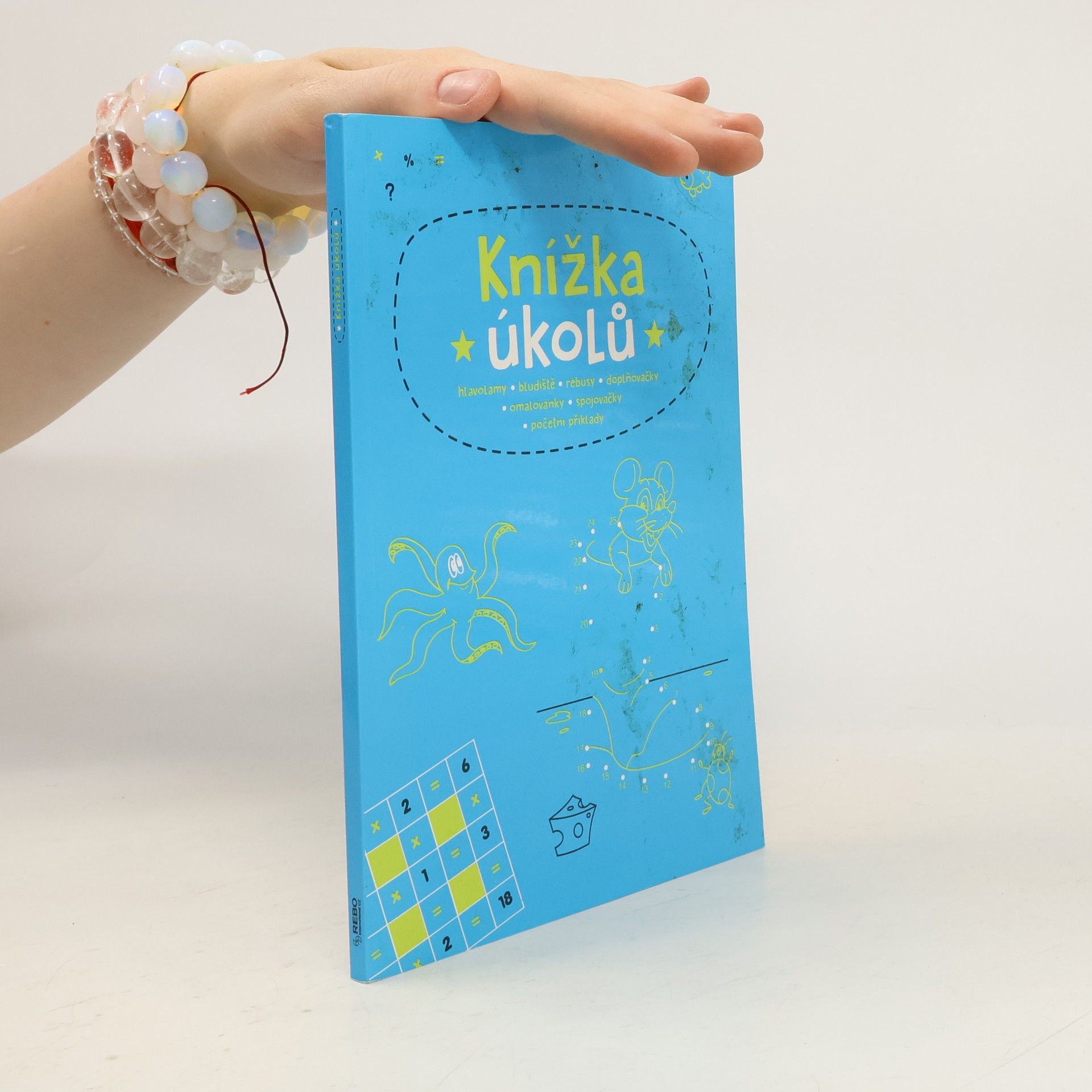 kolektiv Knížka úkolů
