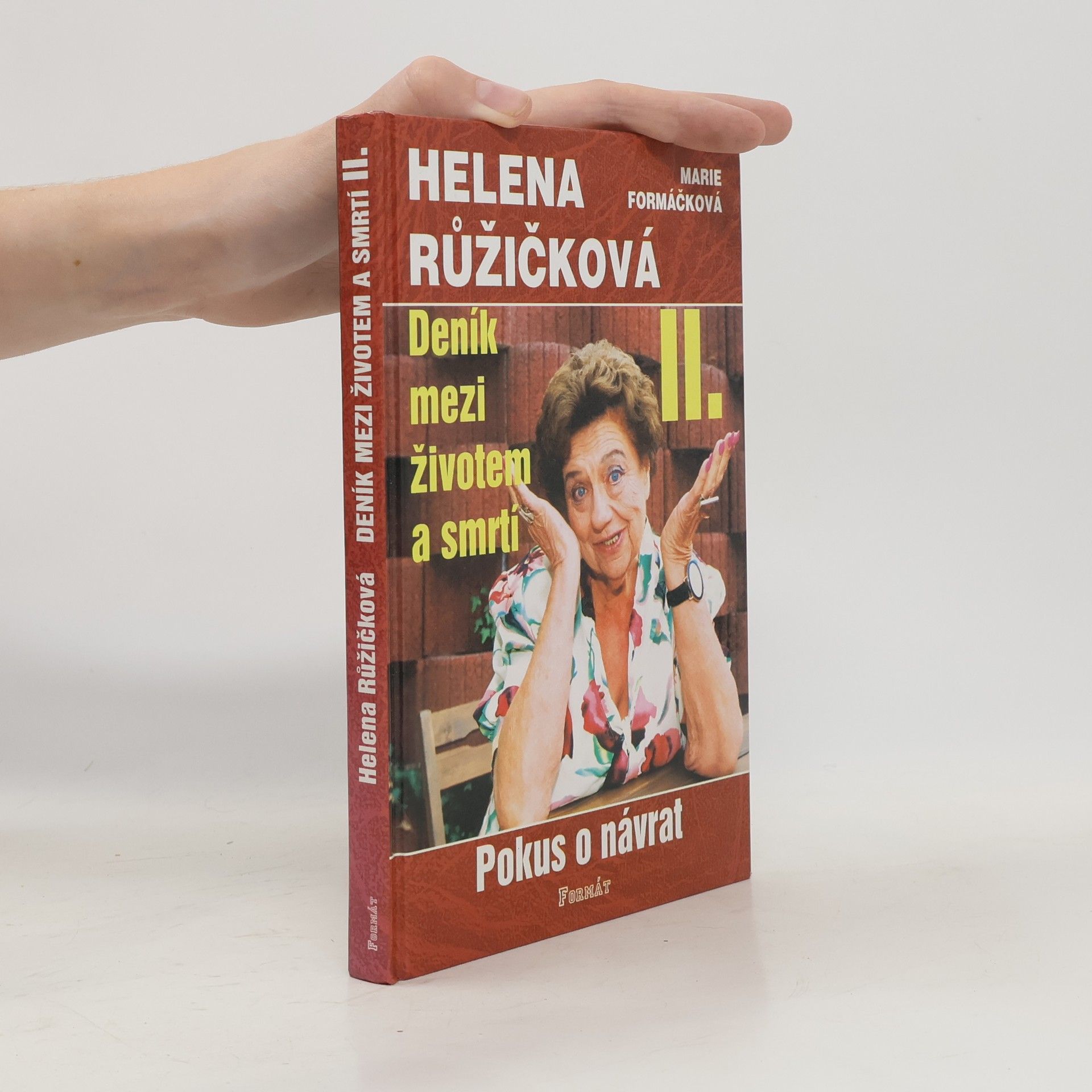 Deník mezi životem a smrtí. II., Pokus o návrat