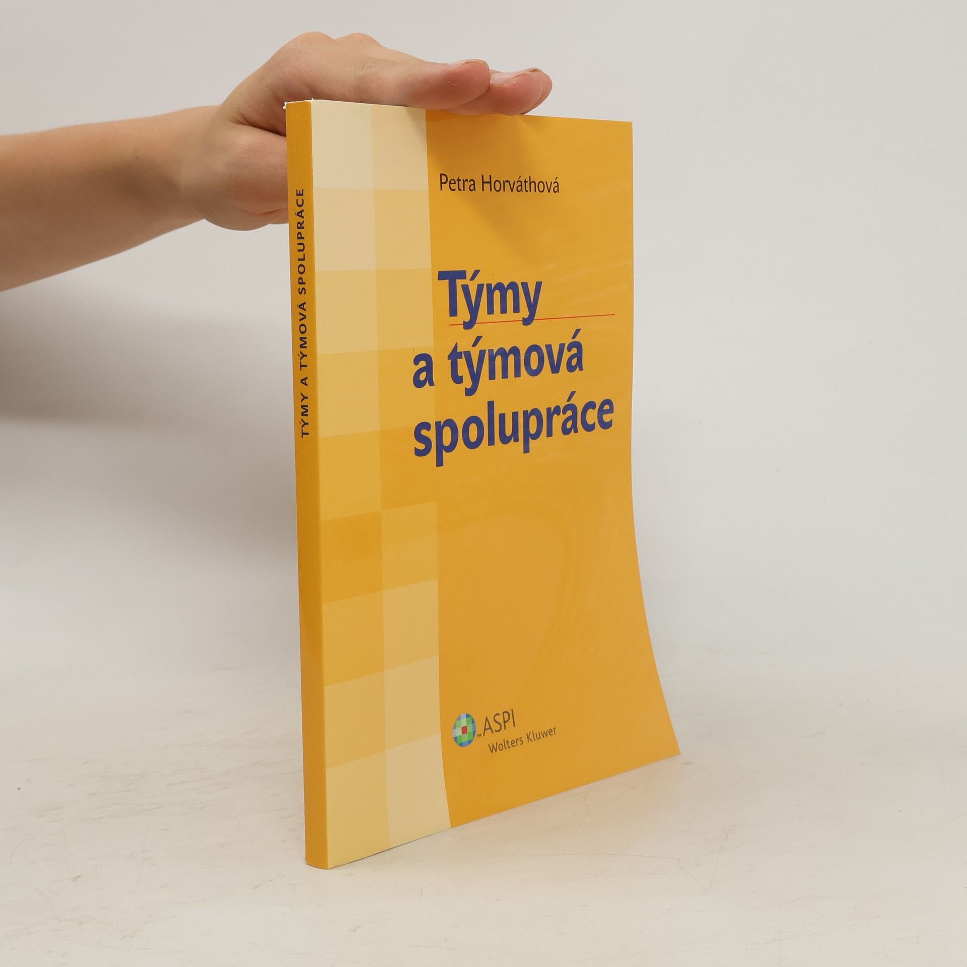 Petra Horváthová Týmy a týmová spolupráce