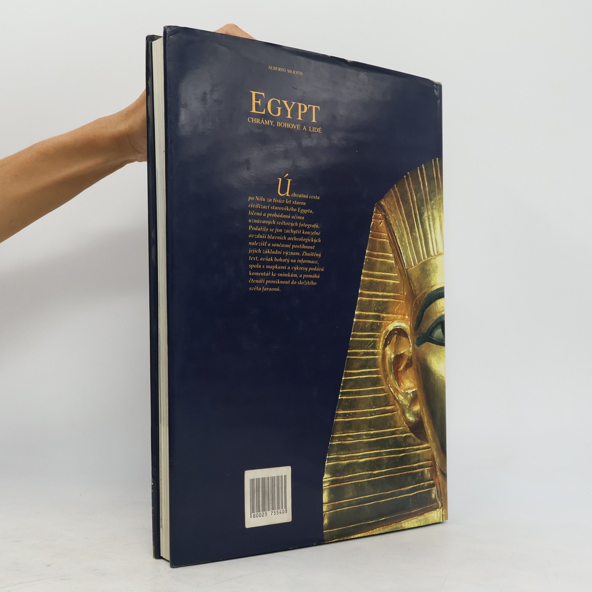 Alberto Siliotti Egypt. Chrámy, bohové a lidé