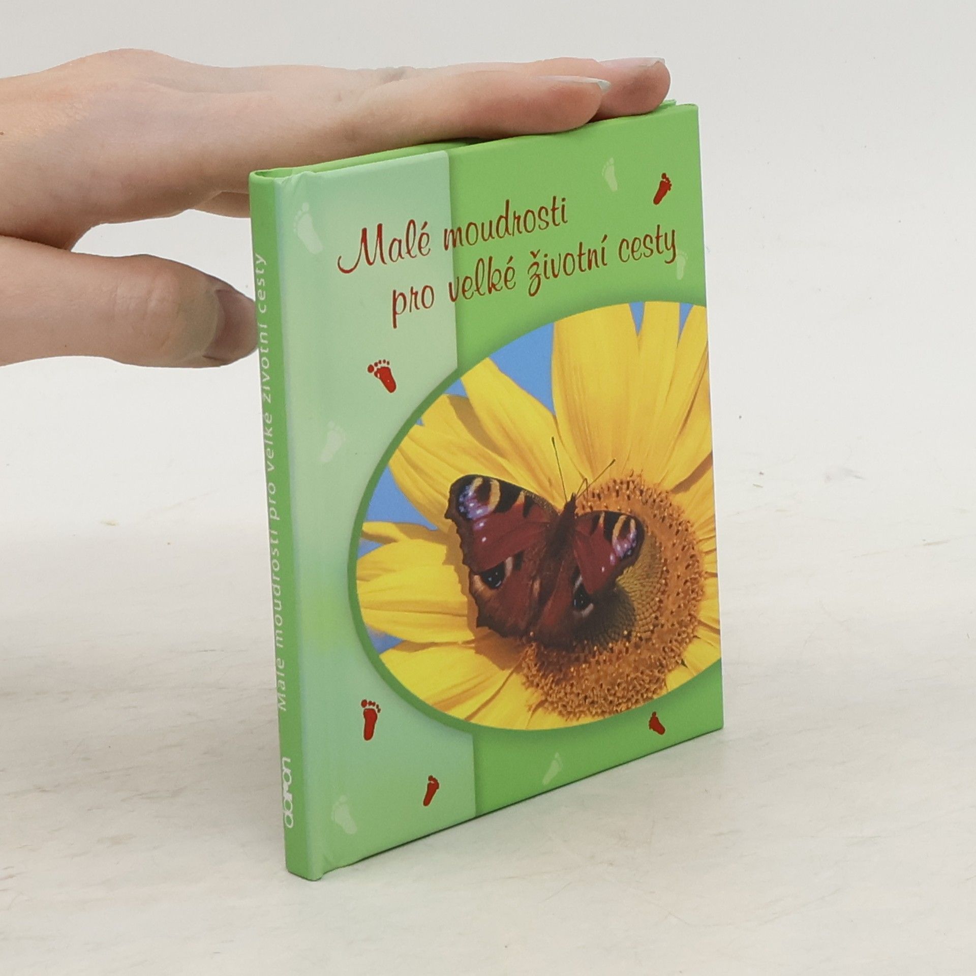 Jindřich Sirovátka Malé moudrosti pro velké životní cesty