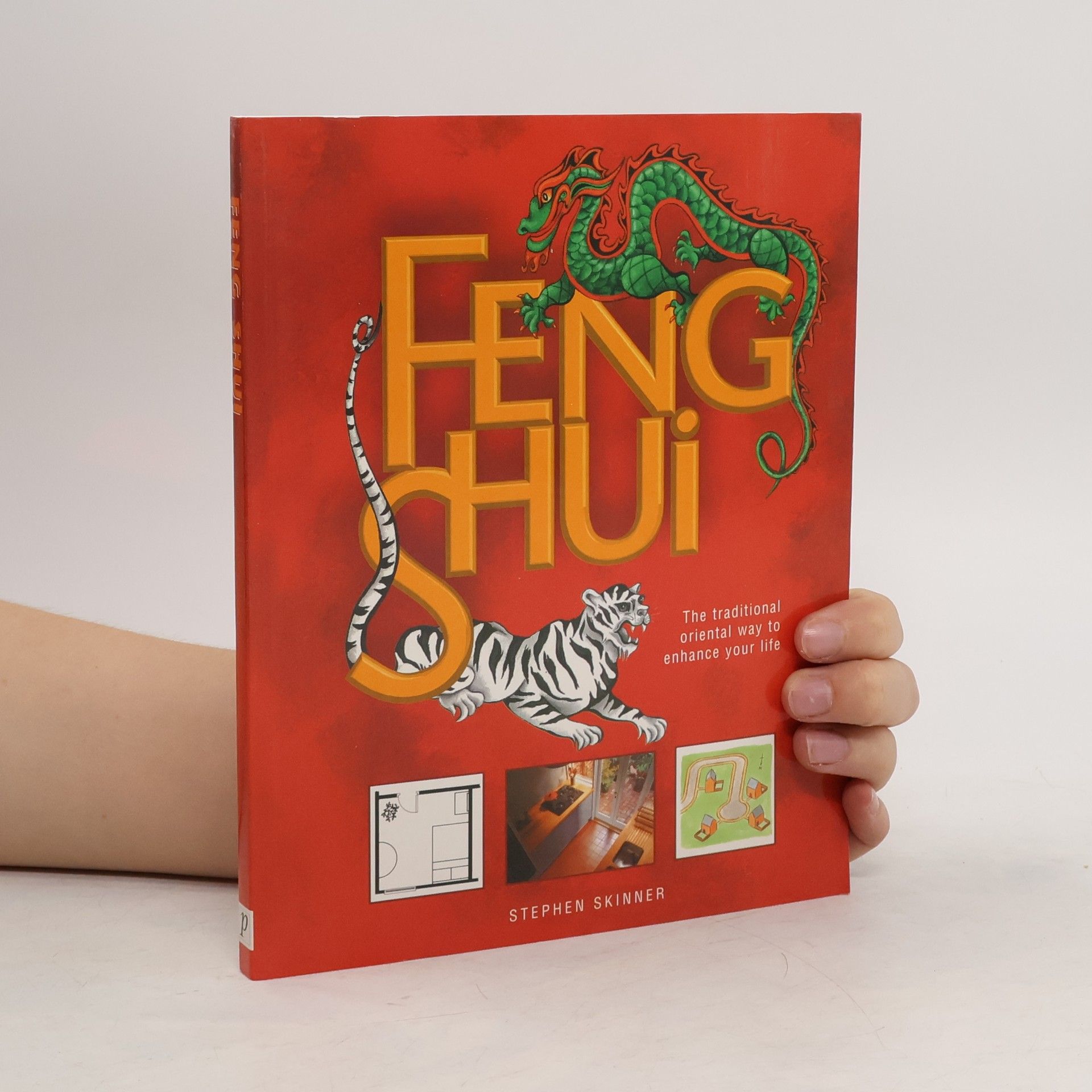 Stephen Skinner Feng Shui