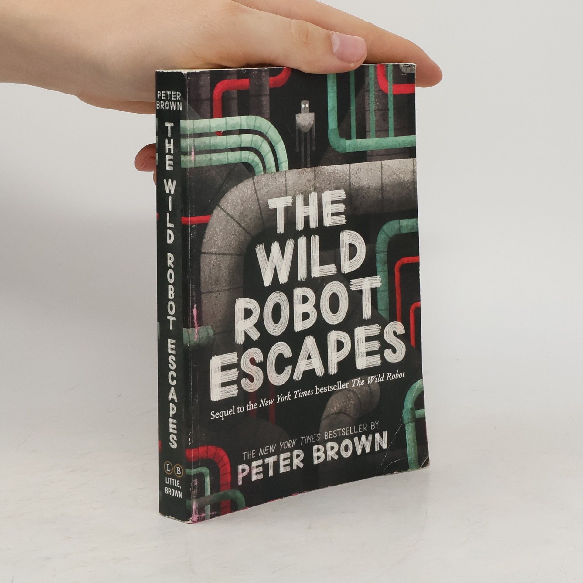 Peter Brown The Wild Robot Escapes