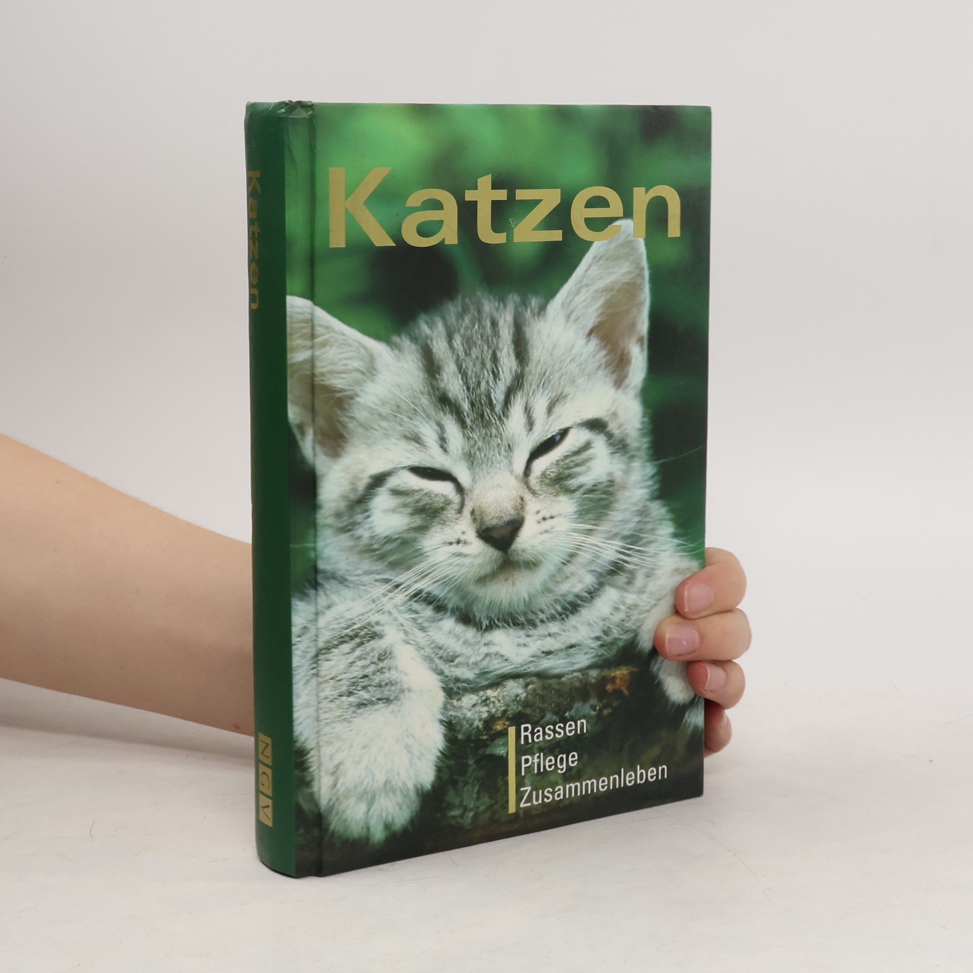 Collective Katzen