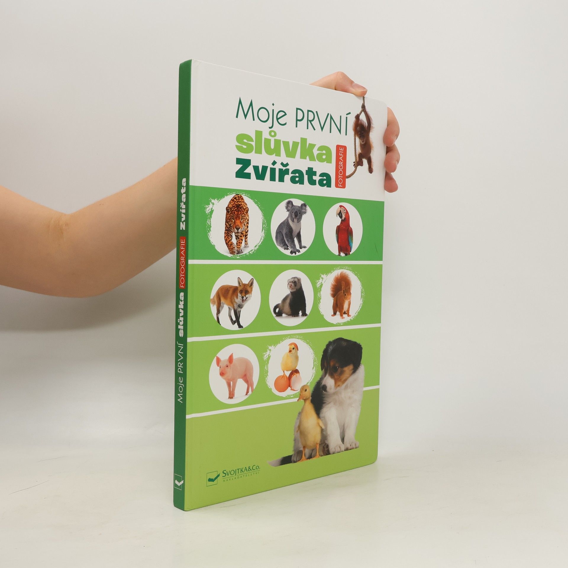 Kolektív autorov Moje první slůvka - Zvířata