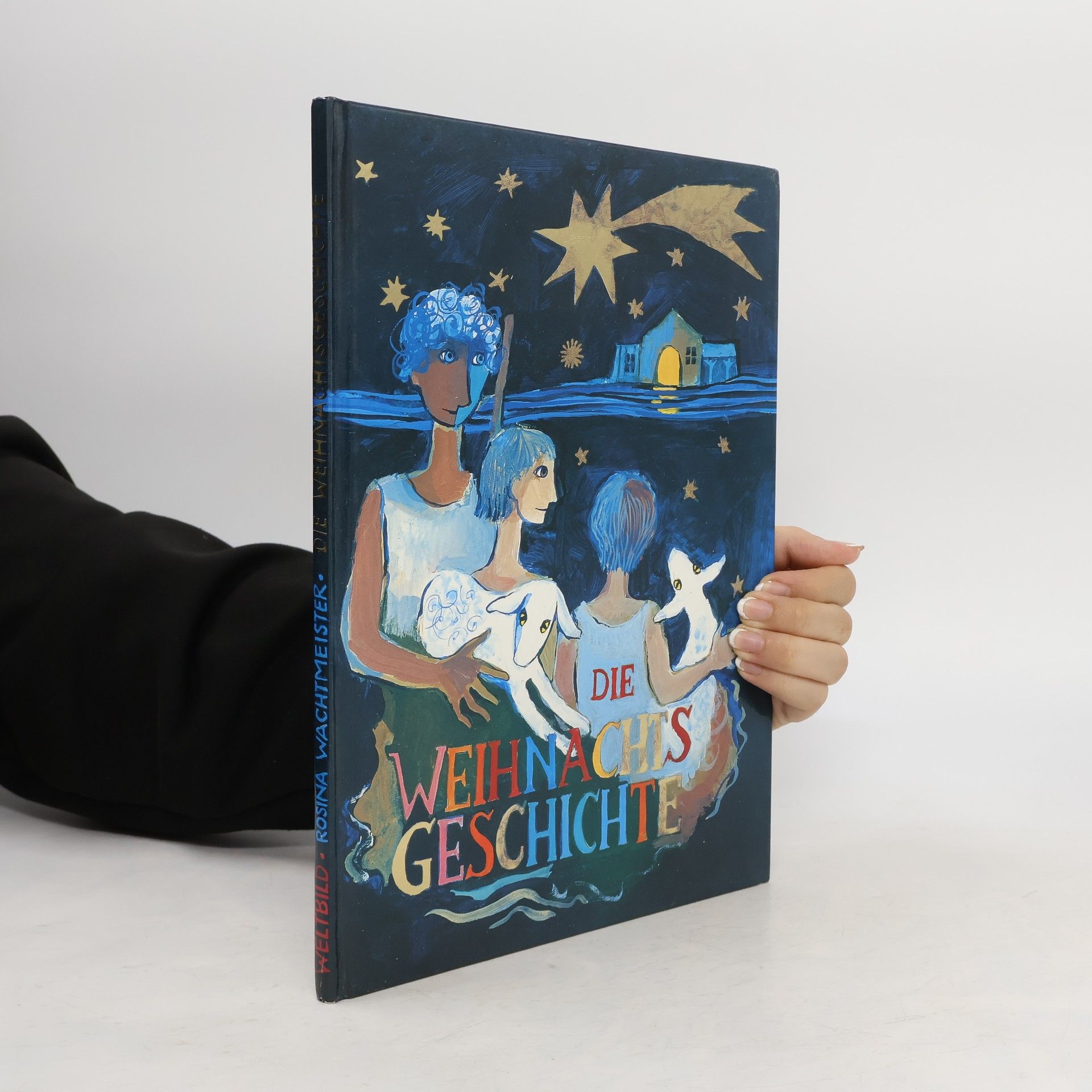 Rosina Wachtmeister Die Weihnachtsgeschichte