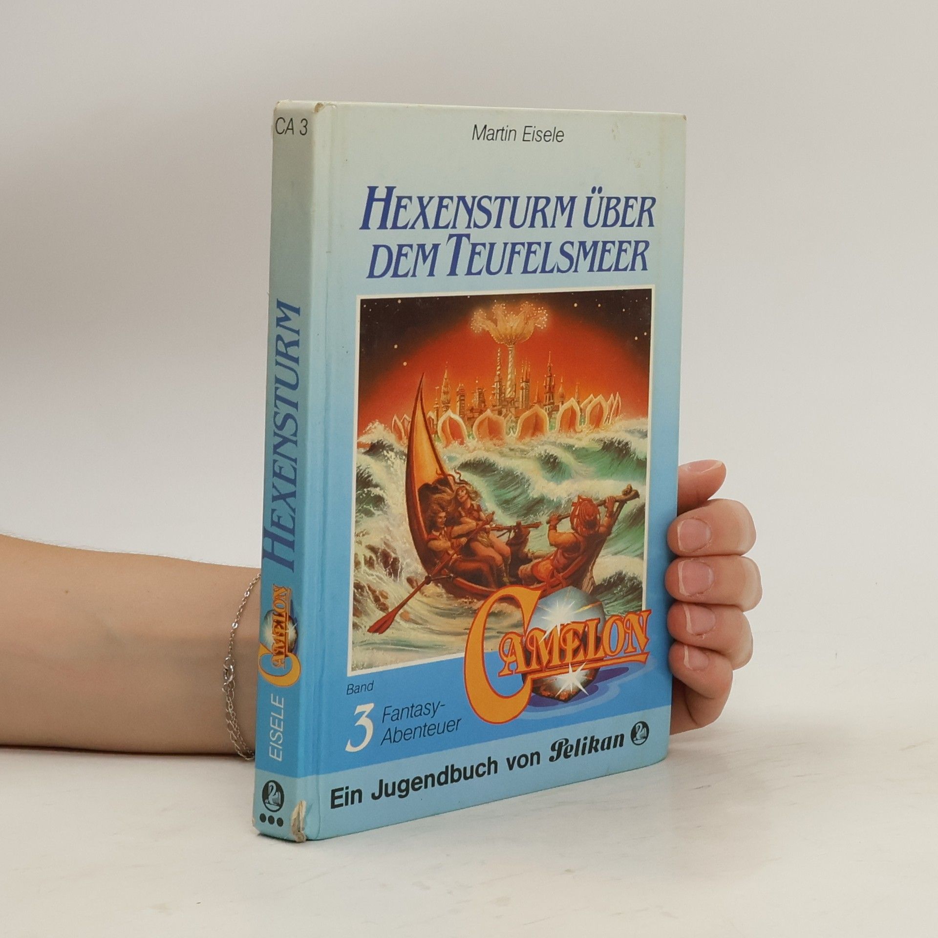 Claudia Torwegge Hexensturm über dem Teufelsmeer. Fantasy- Abenteuer.