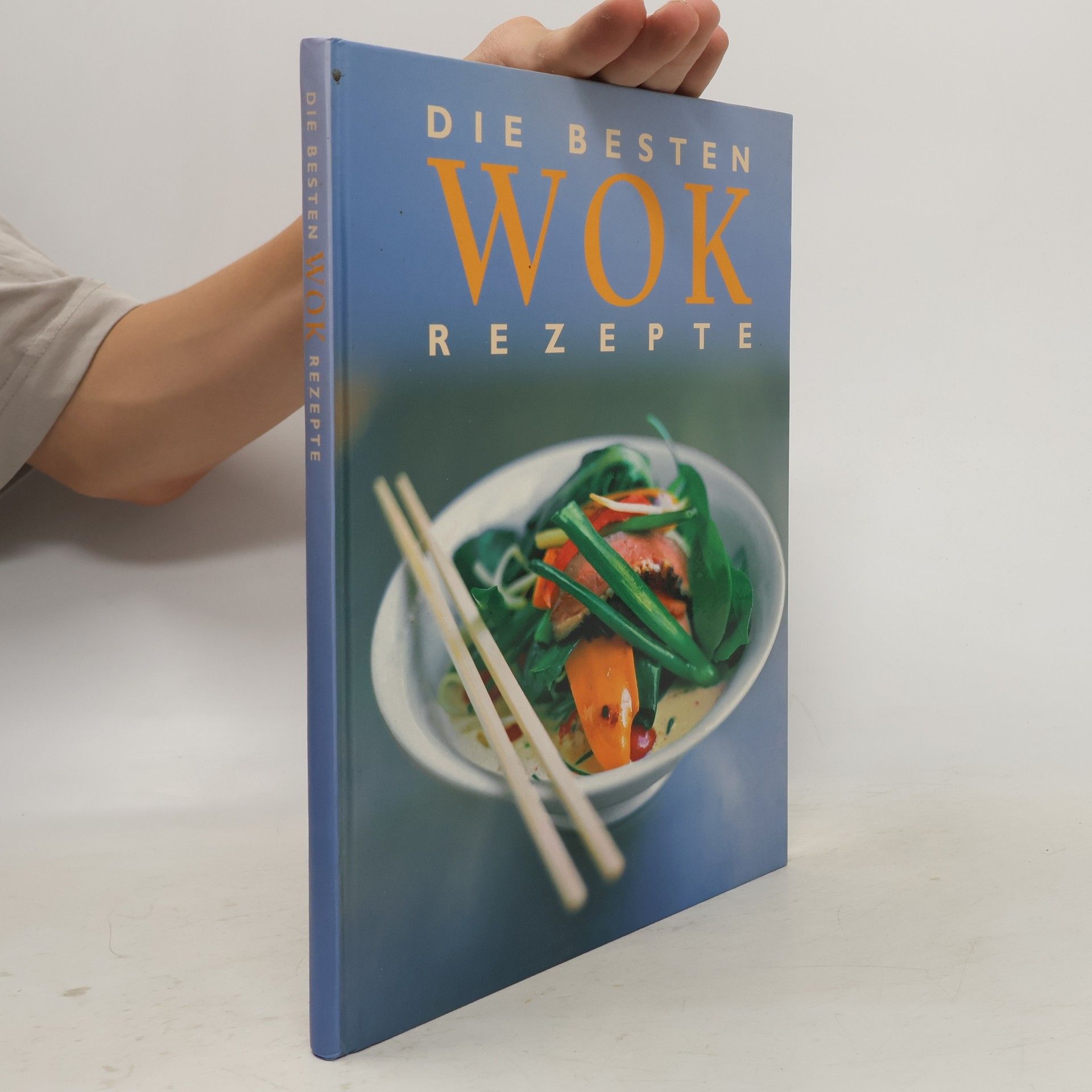 Martina Panzer Die besten Wok-Rezepte