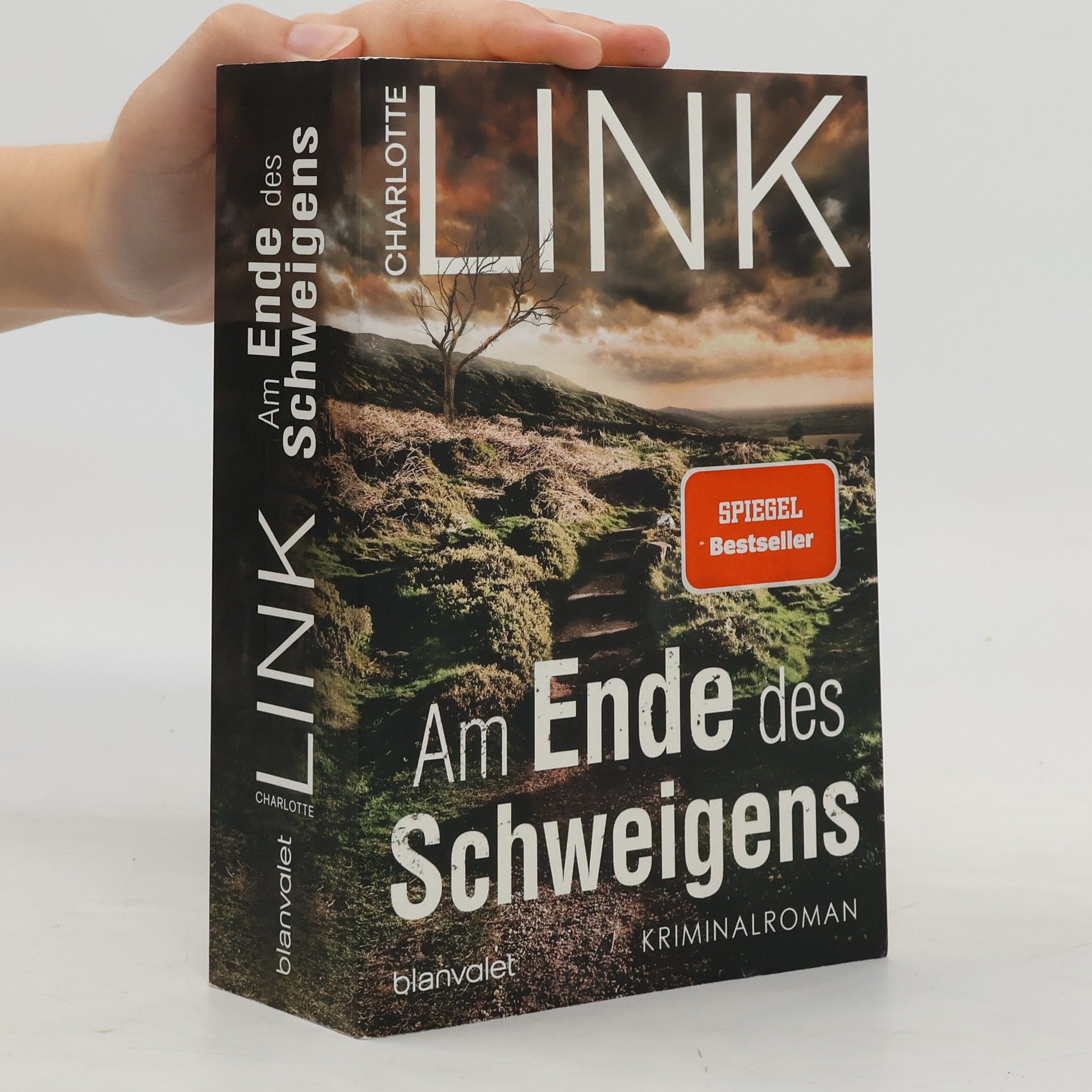 Charlotte Link Am Ende des Schweigens