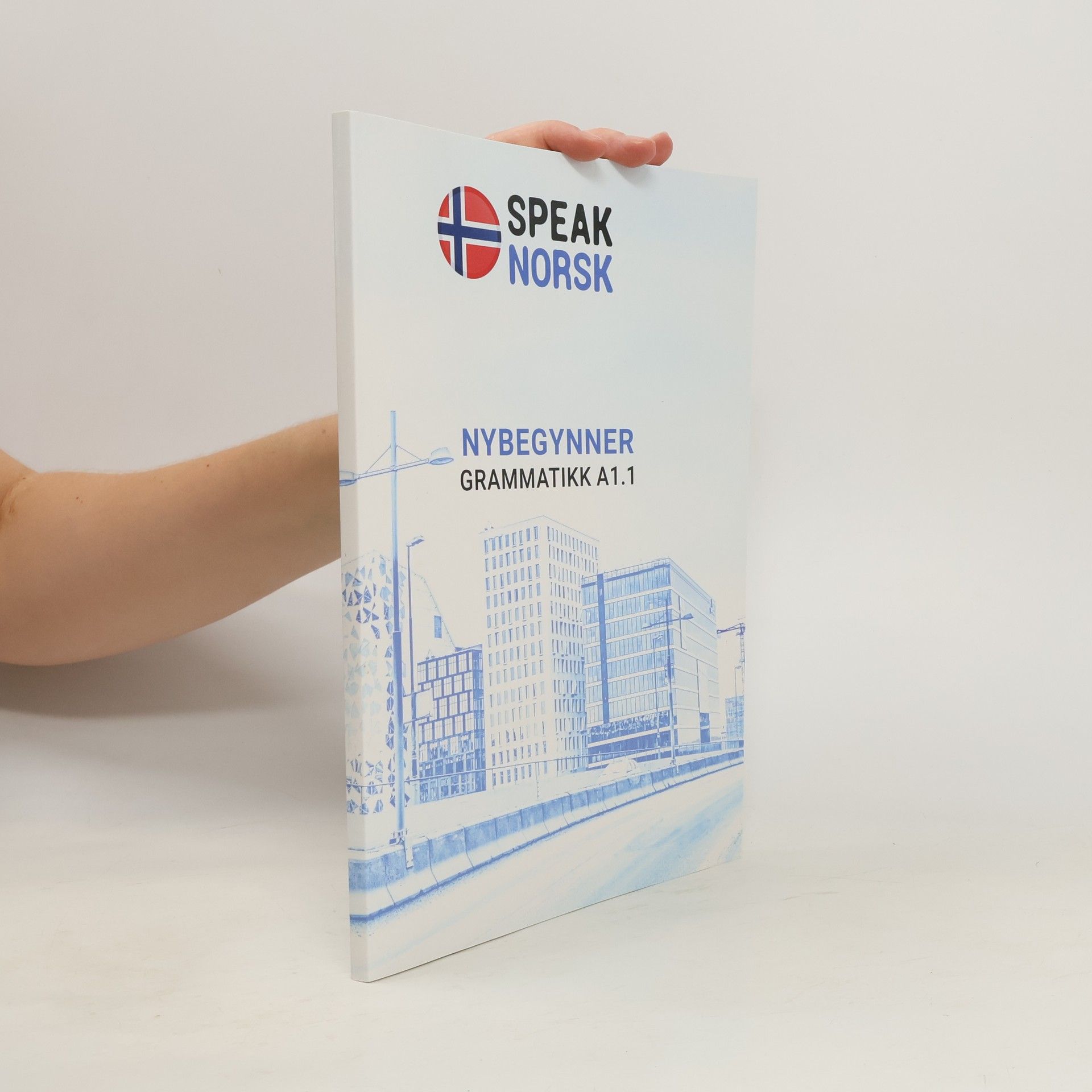 Autores varios Nybegynner Grammatikk A1.1