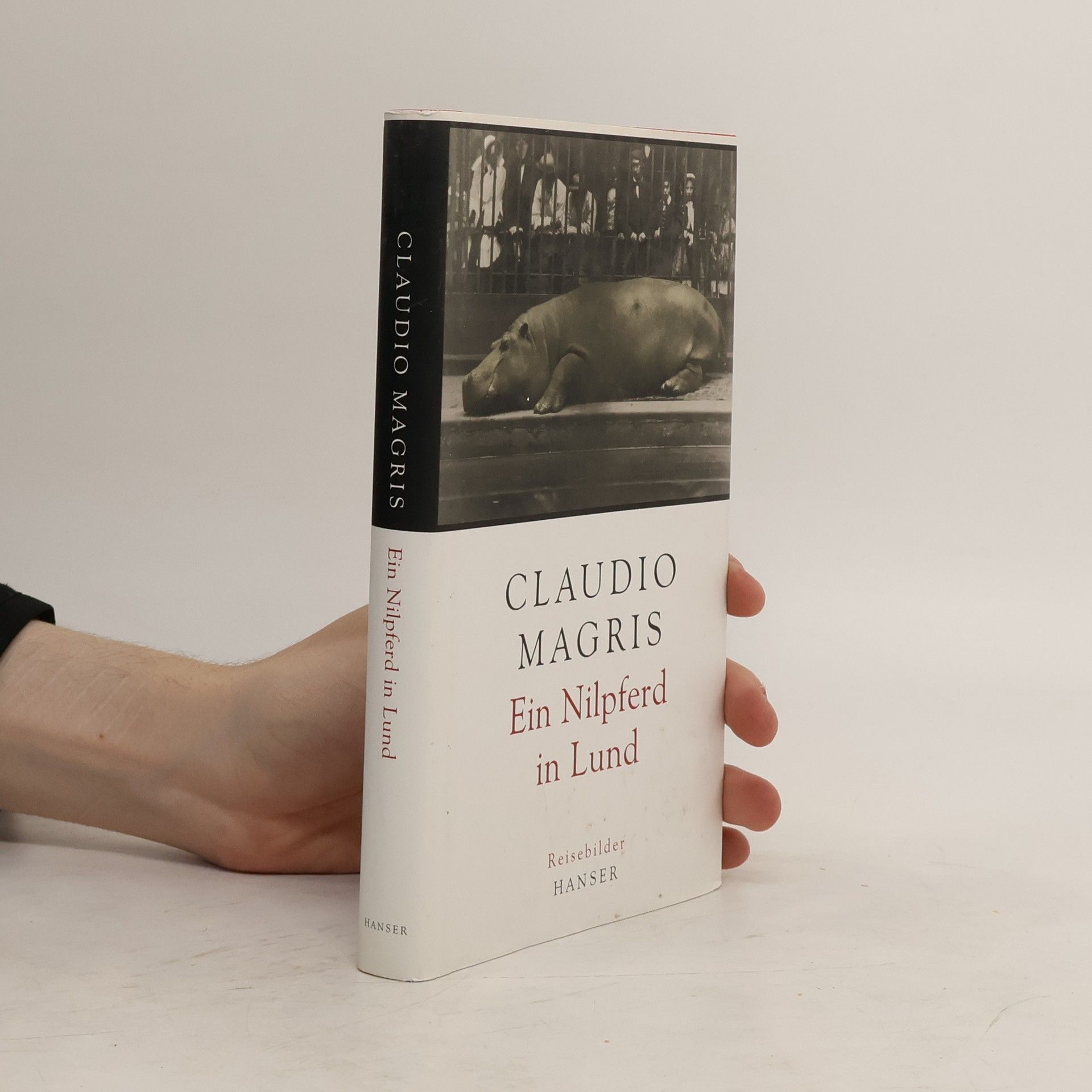 Claudio Magris Ein Nilpferd in Lund