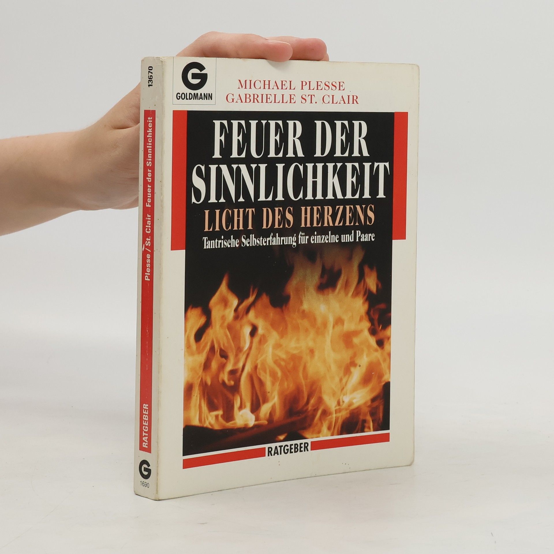 Michael Plesse Feuer der Sinnlichkeit, Licht des Herzens