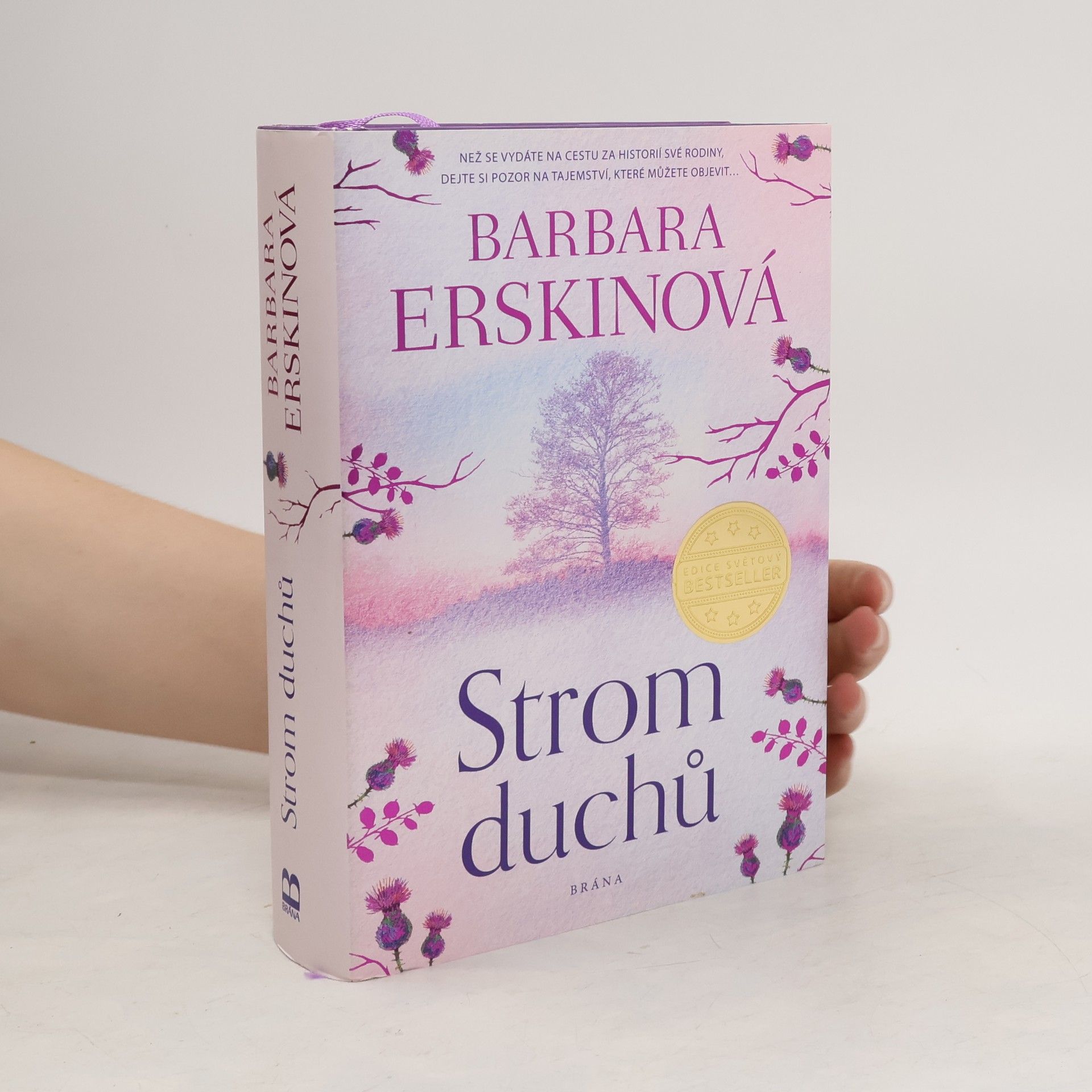 Barbara Erskine Strom duchů