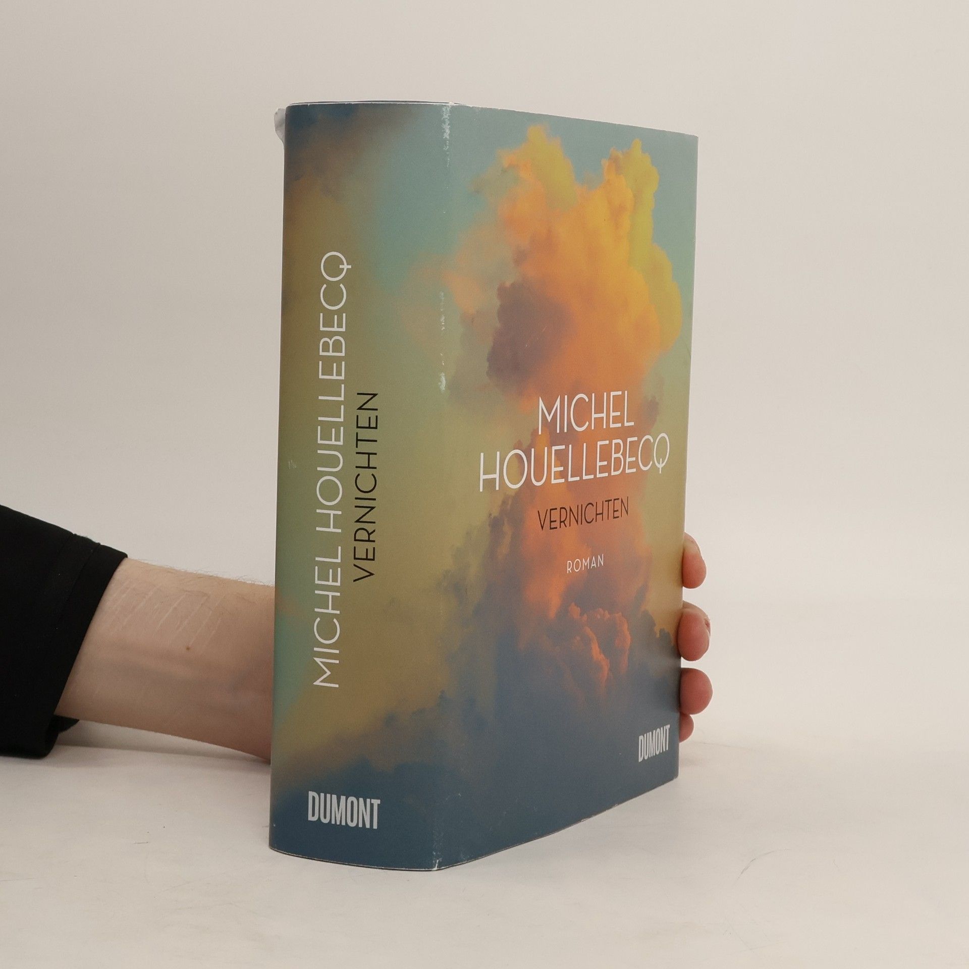Michel Houellebecq Vernichten