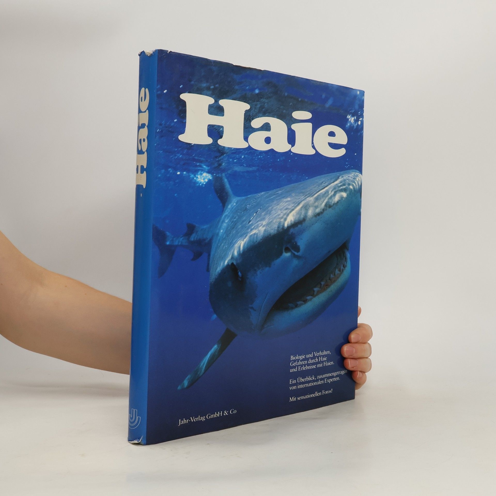 Jo rg Keller Haie