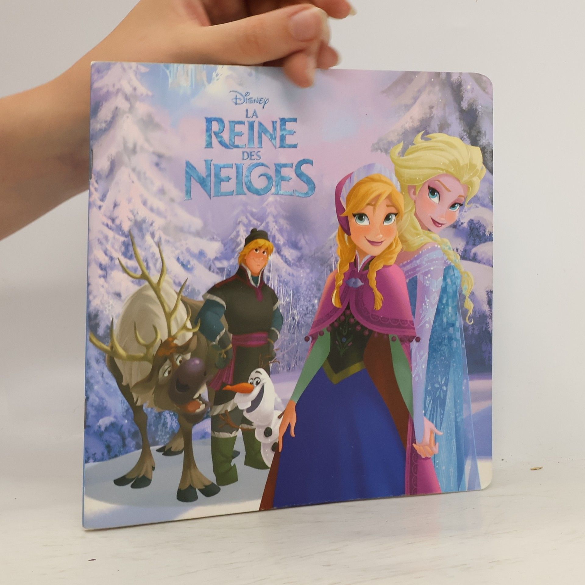 Collectif d'auteurs La Reine des Neiges
