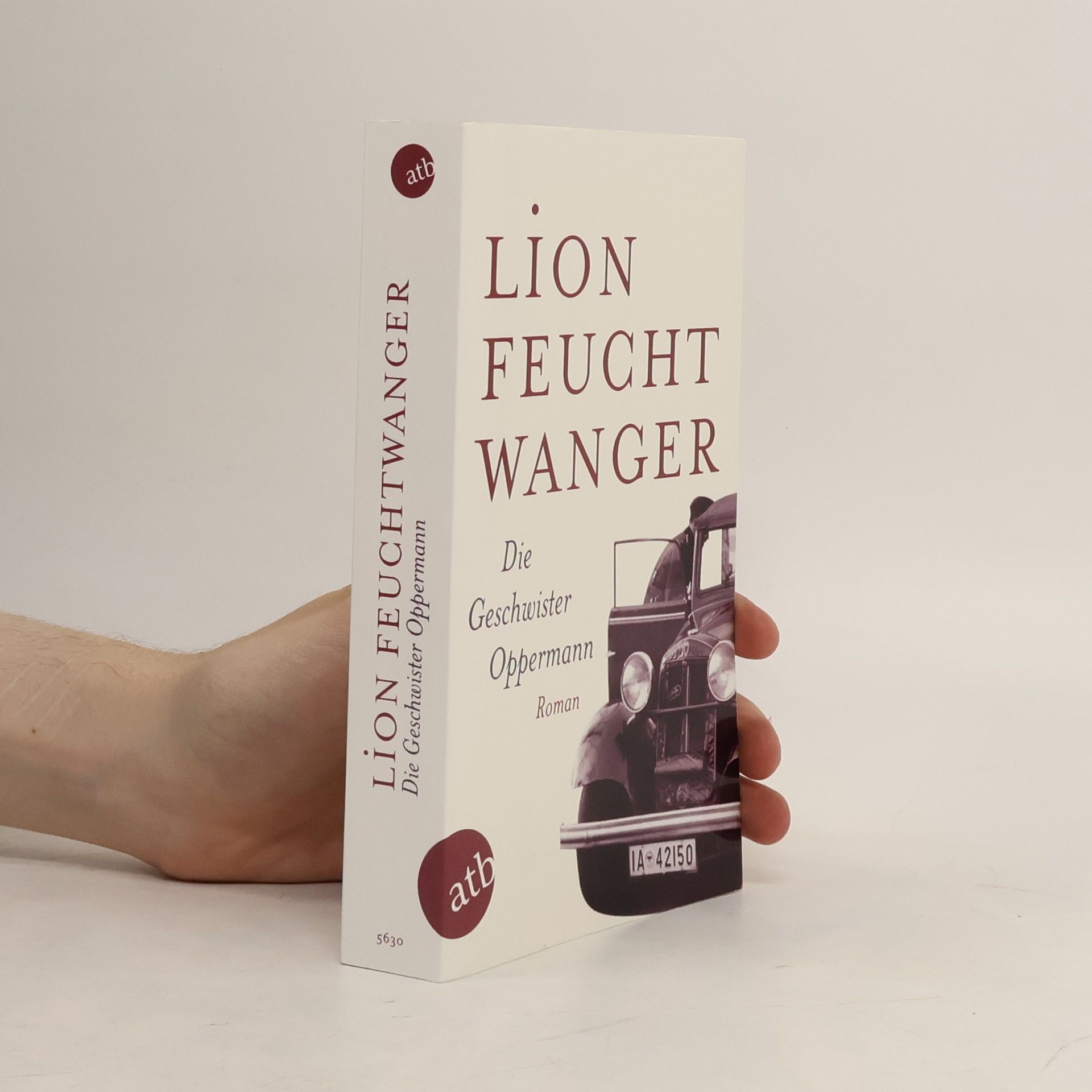 Lion Feuchtwanger Die Geschwister Oppermann
