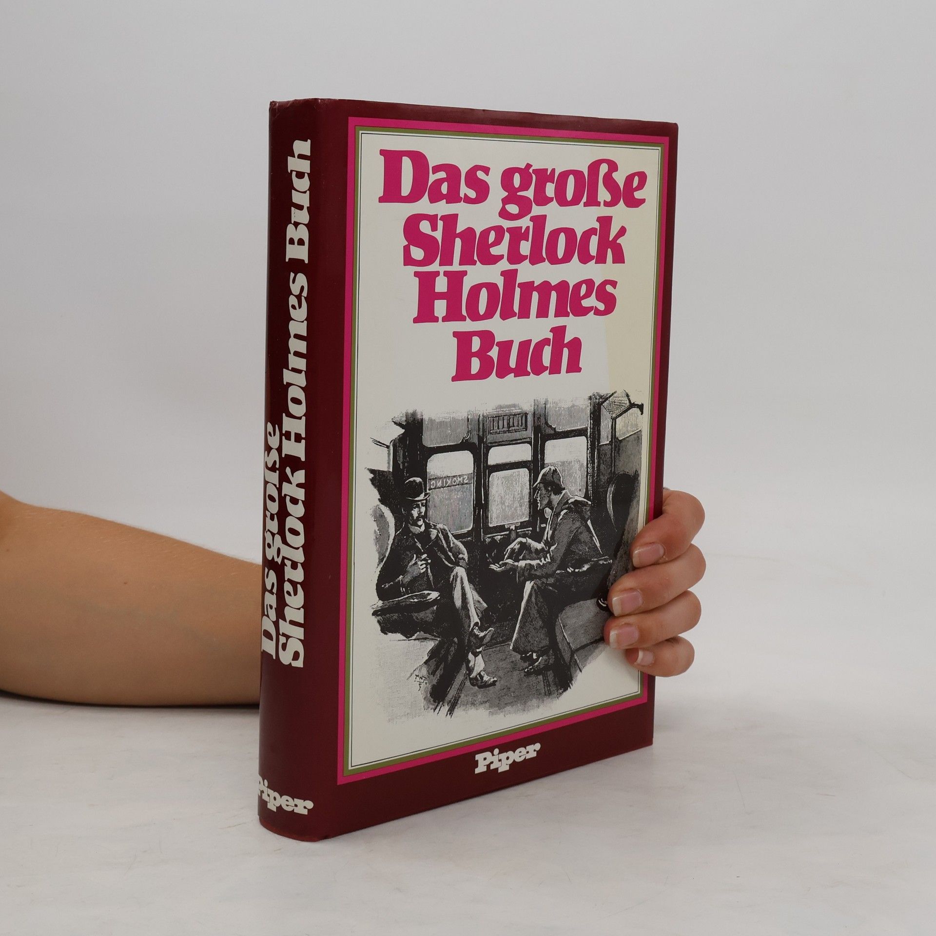 Michael Schulte Das grosse Sherlock Holmes Buch