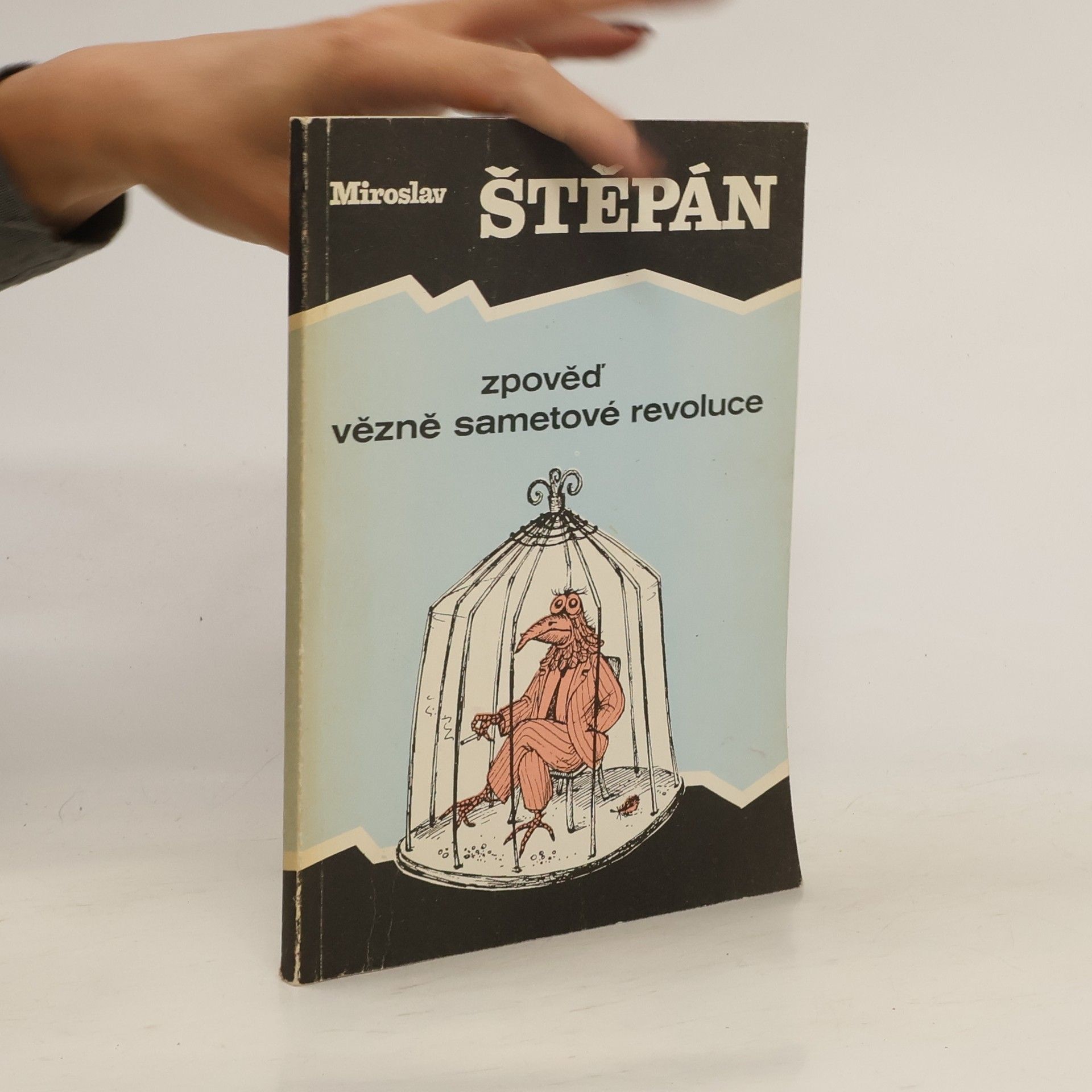 Zpověď vězně sametové revoluce