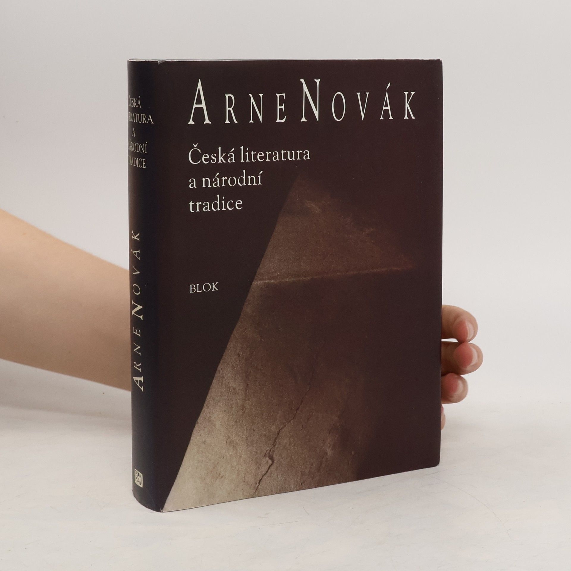 Česká literatura a národní tradice