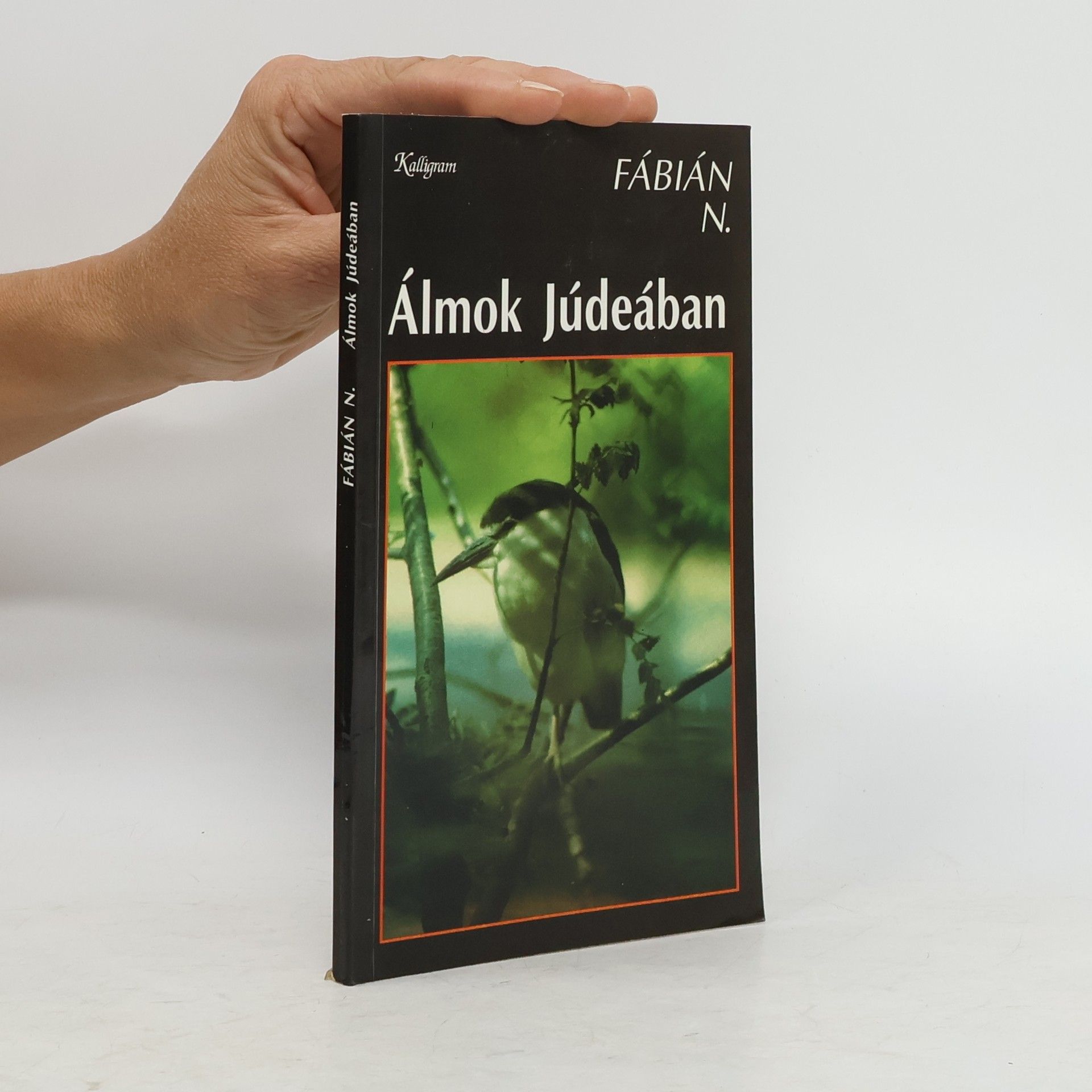 N. Fábián Álmok Júdeában
