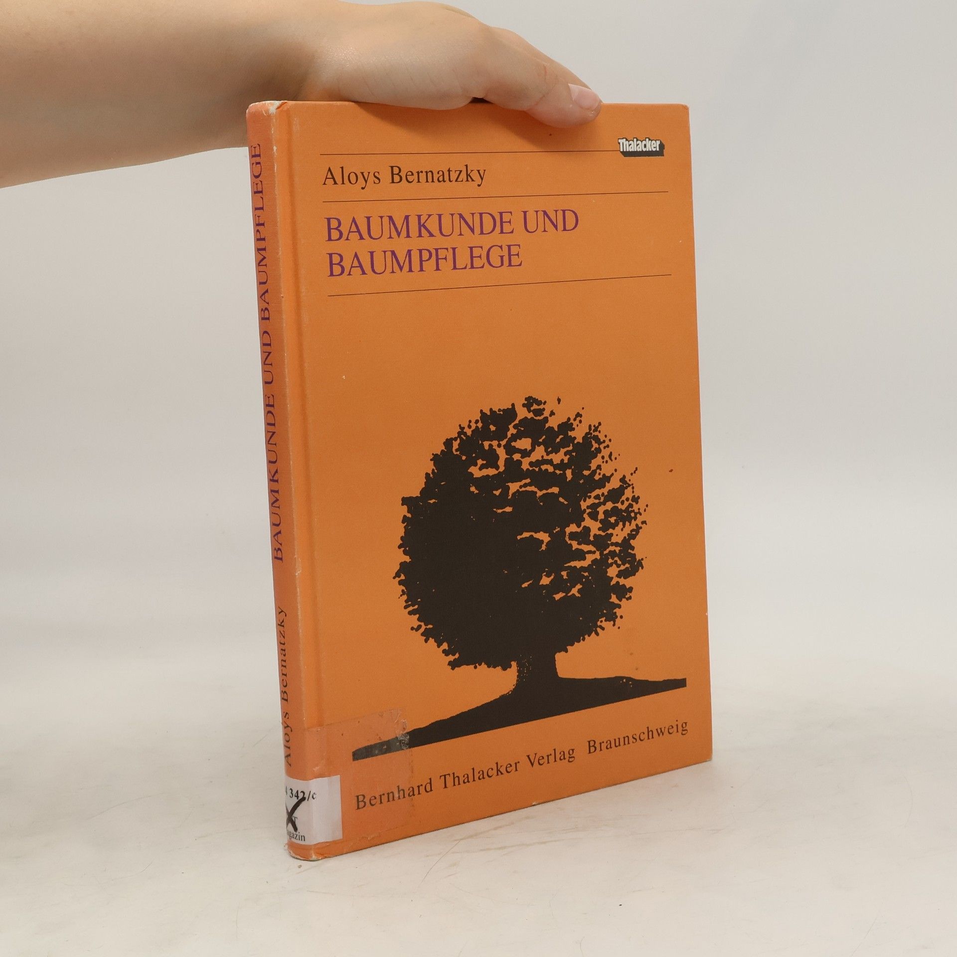 Aloys Bernatzky Baumkunde und Baumpflege