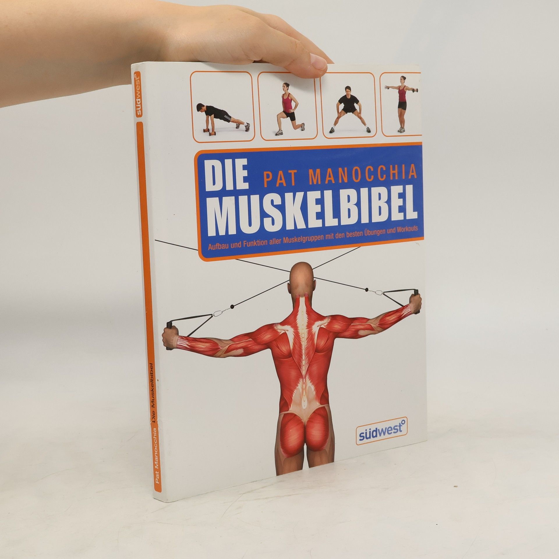 Pat Manocchia Das Muskelbuch