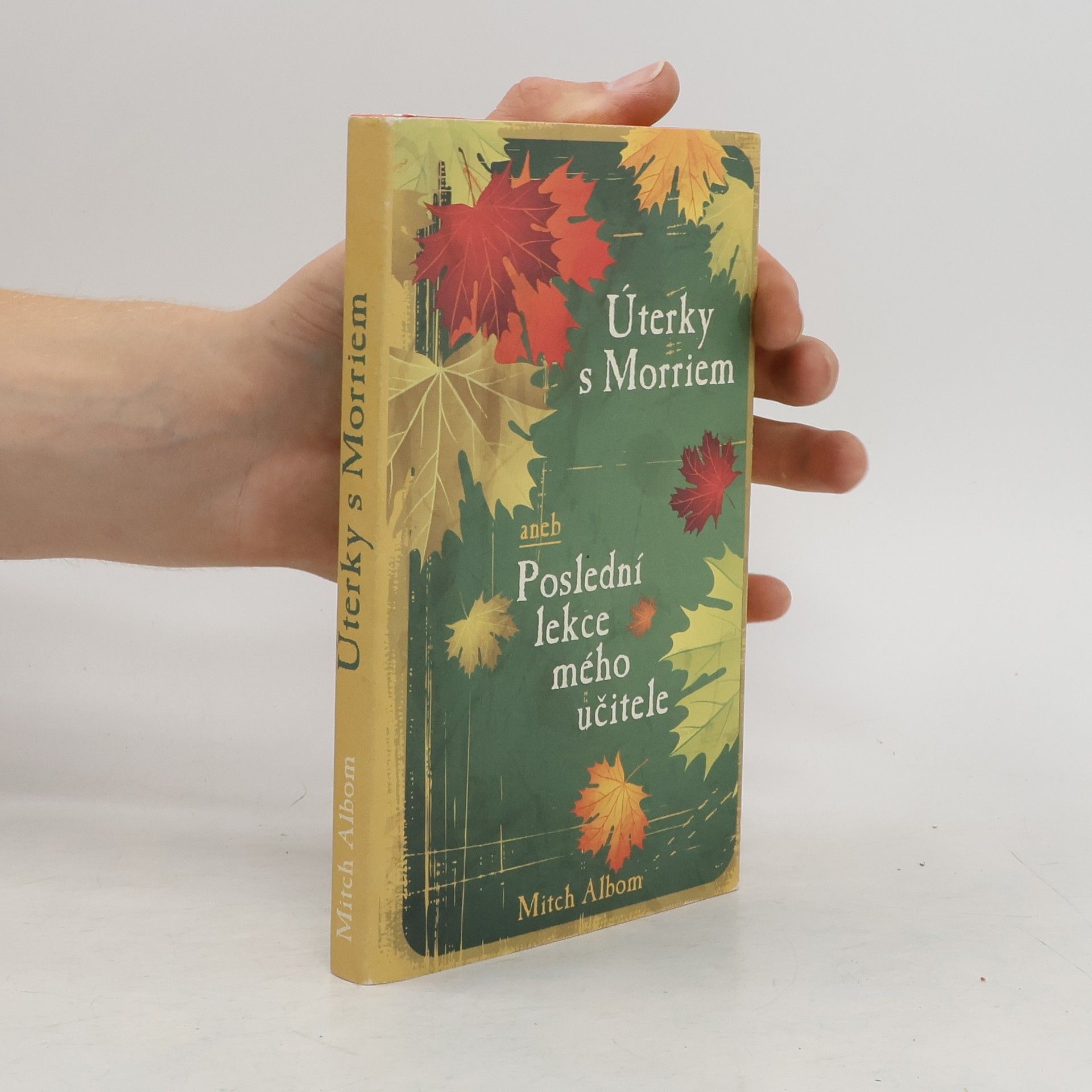 Mitch Albom Úterky s Morriem