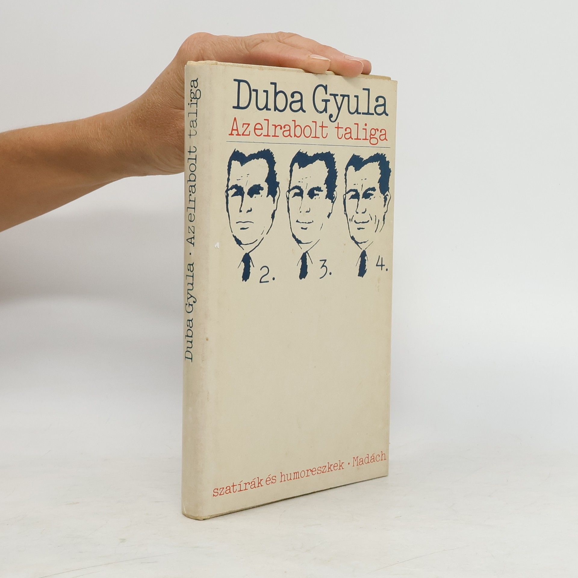 Duba Gyula Ukradnutý fúrik
