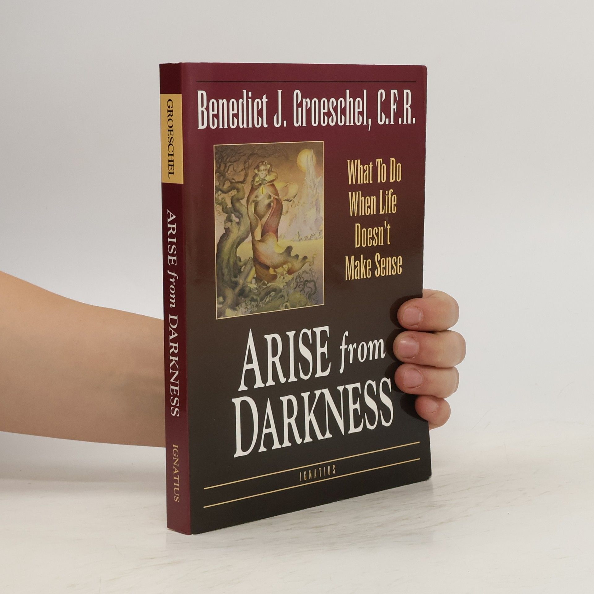 Benedict Groeschel Arise from Darkness