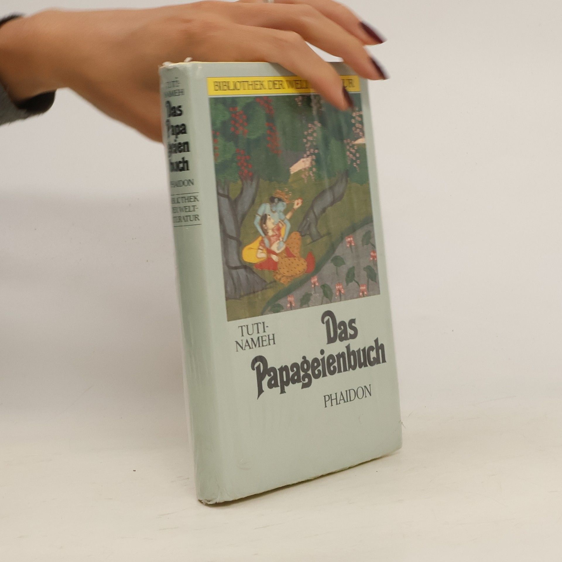 Georg Rosen Tuti-Nameh. Das Papageienbuch
