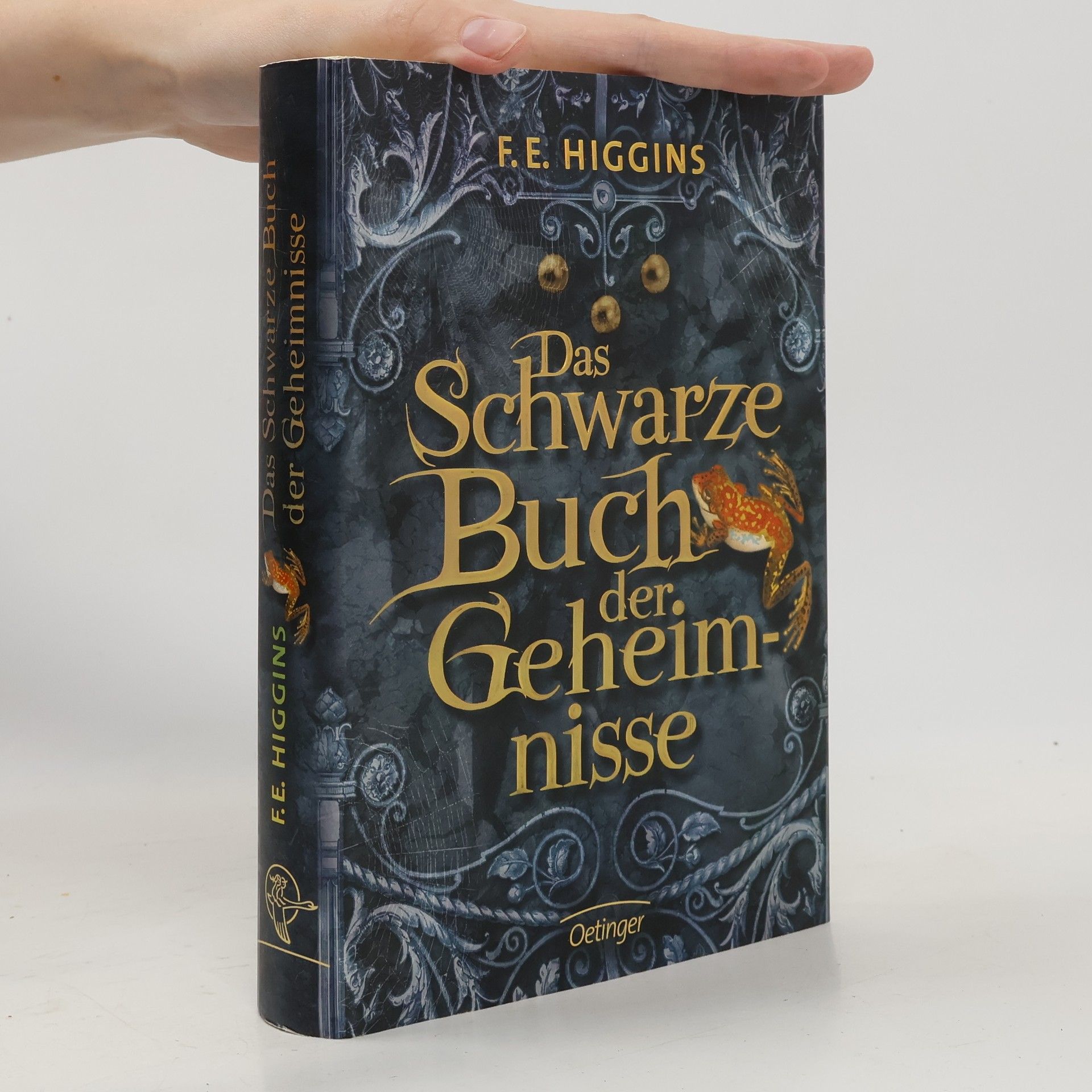 F. E. Higgins Das schwarze Buch der Geheimnisse