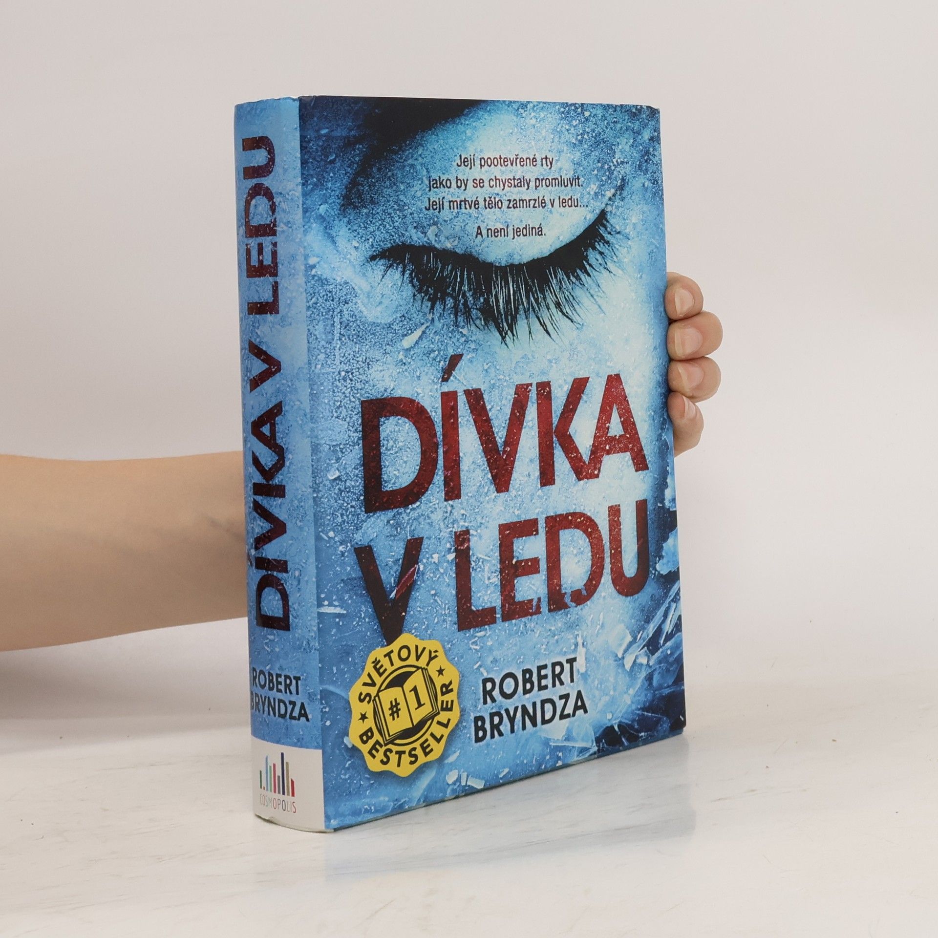 Robert Bryndza Dívka v ledu