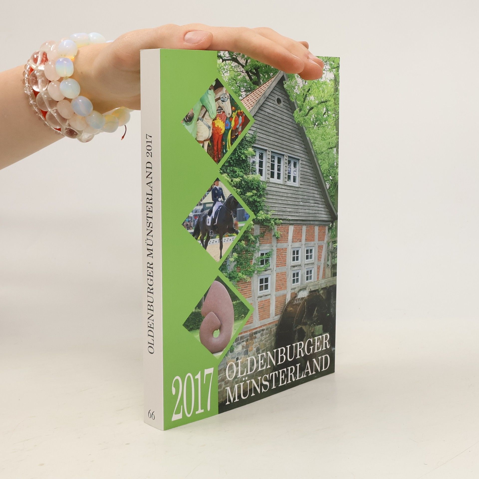 Collectif d'auteurs Jahrbuch Oldenburger Münsterland 2017