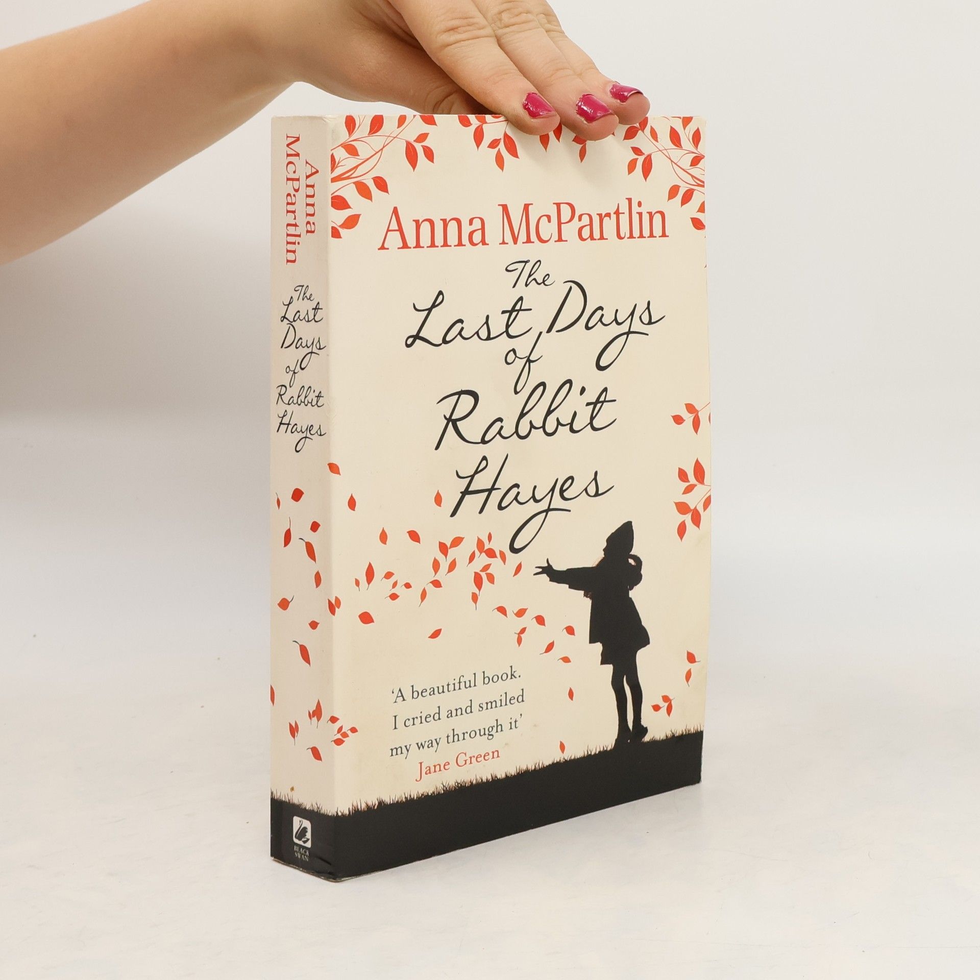 Anna Mc Partlin The Last Days of Rabbit Hayes