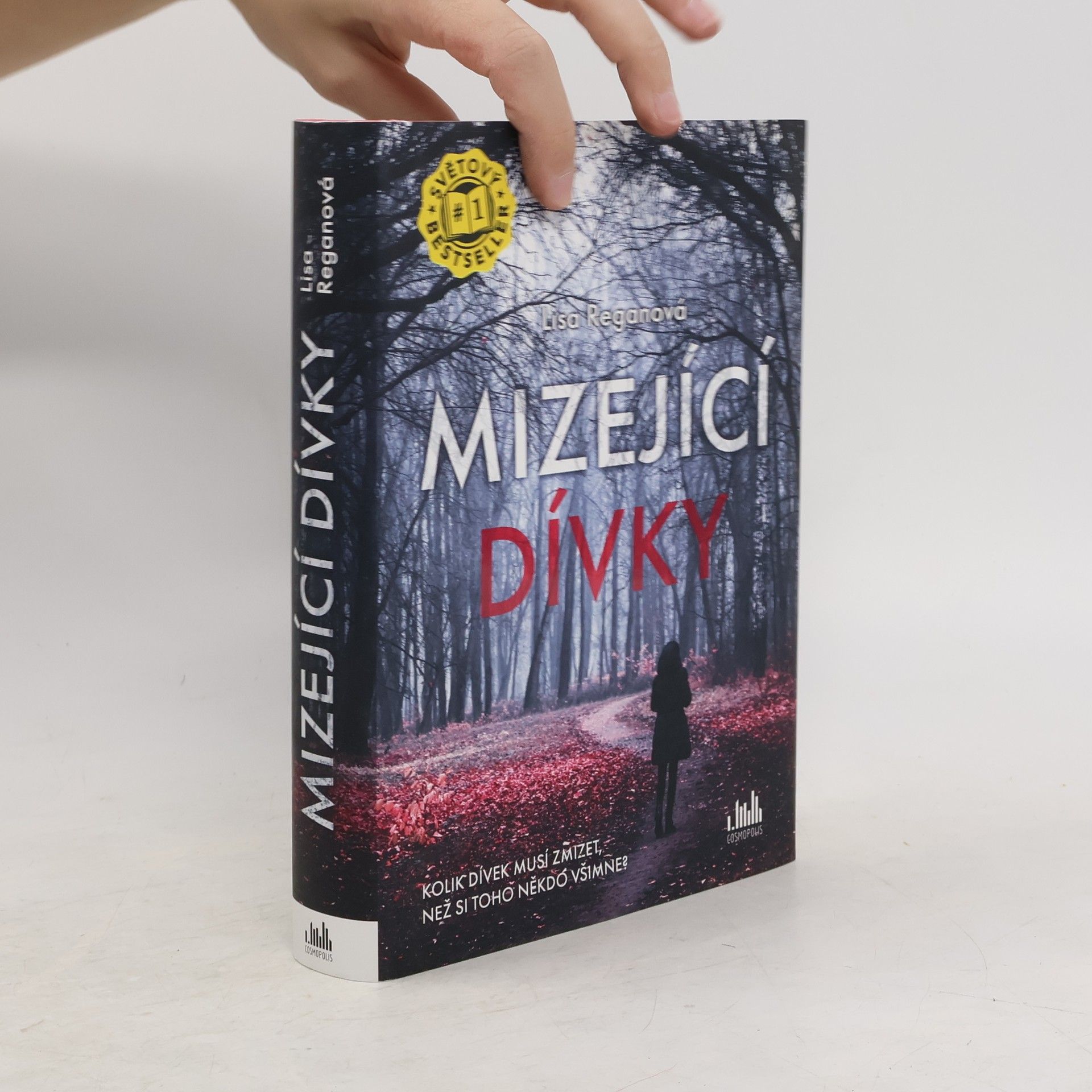 Lisa Regan Mizející dívky