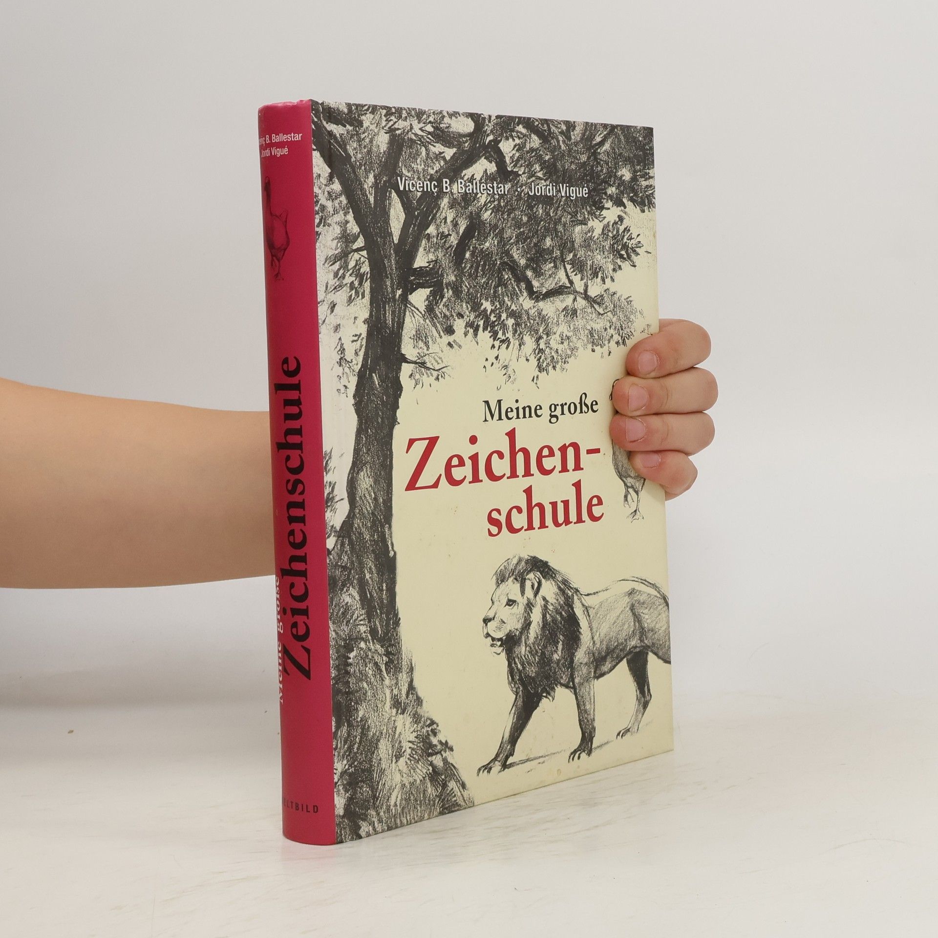 Vicenc Ballestar Meine große Zeichenschule