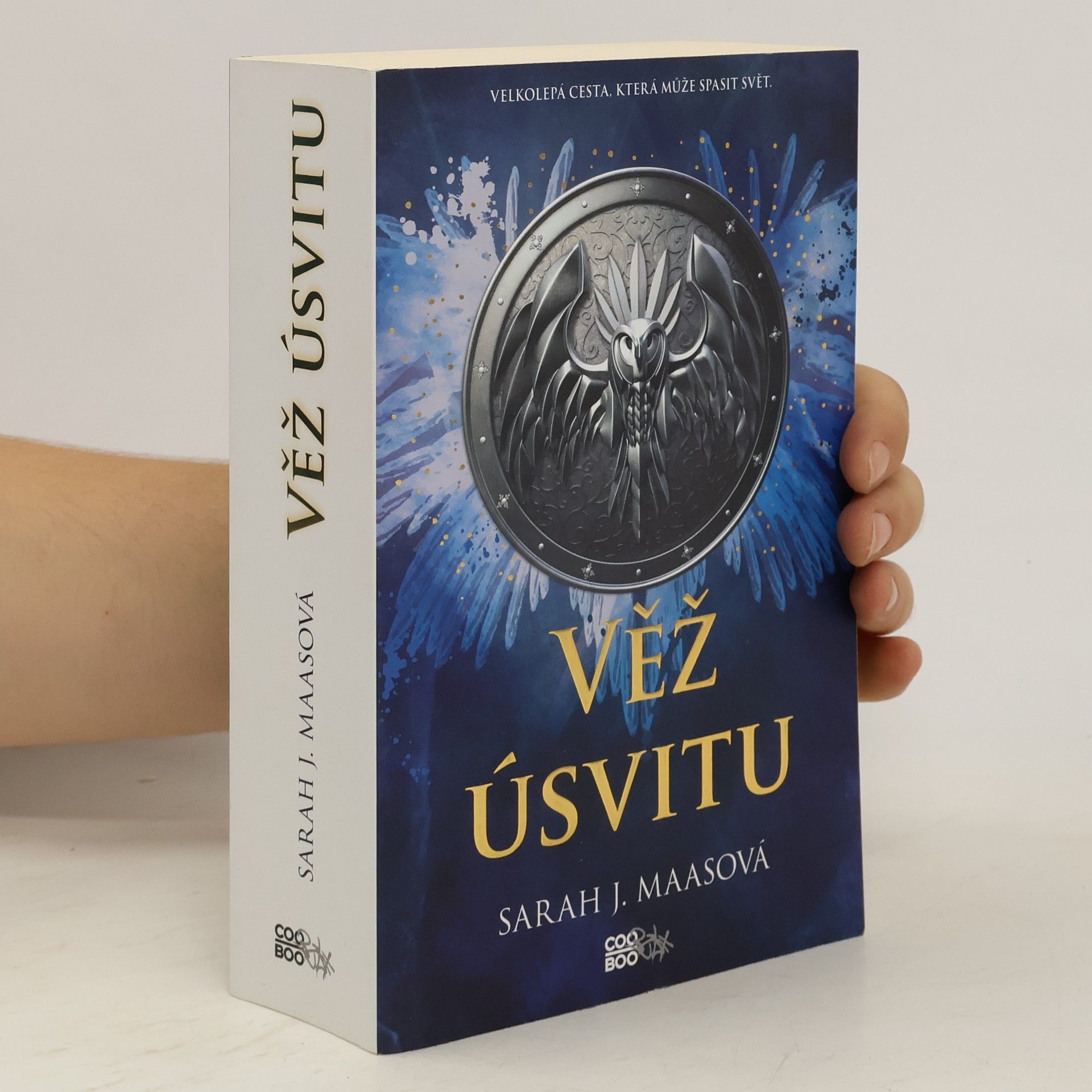 Sarah J. Maas Věž úsvitu