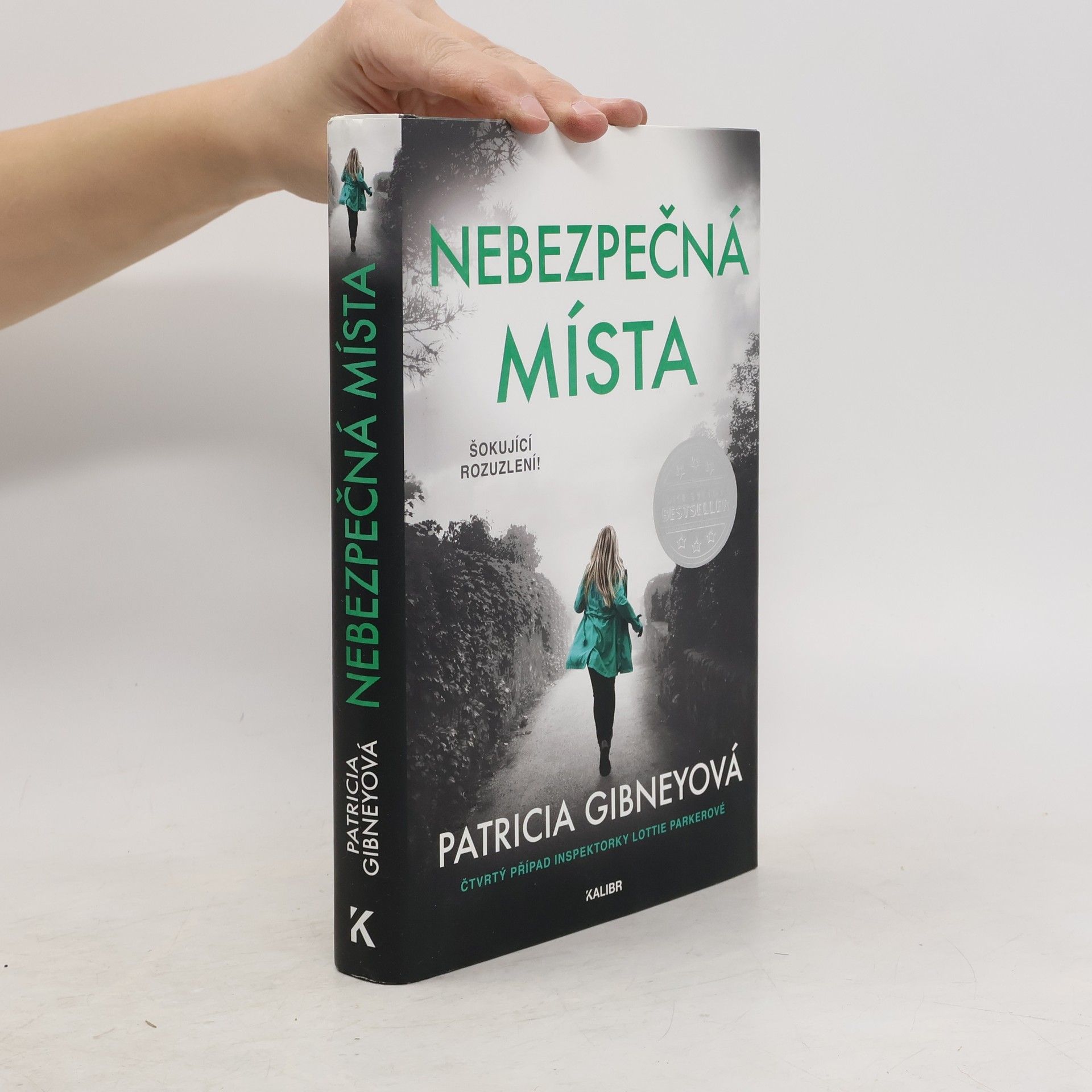 Patricia Gibney Nebezpečná místa