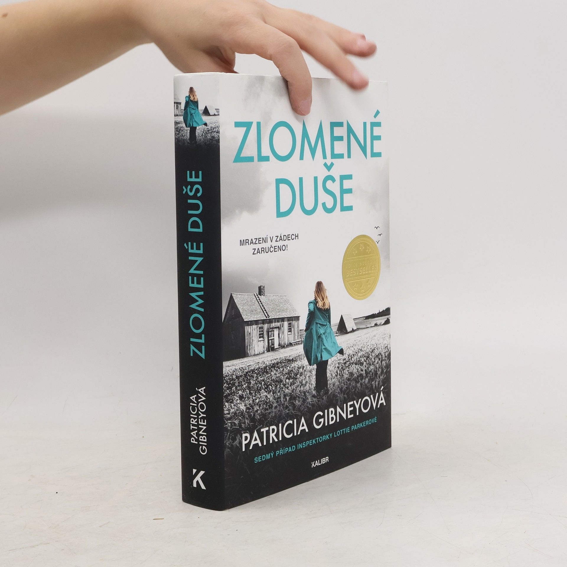 Patricia Gibney Zlomené Duše
