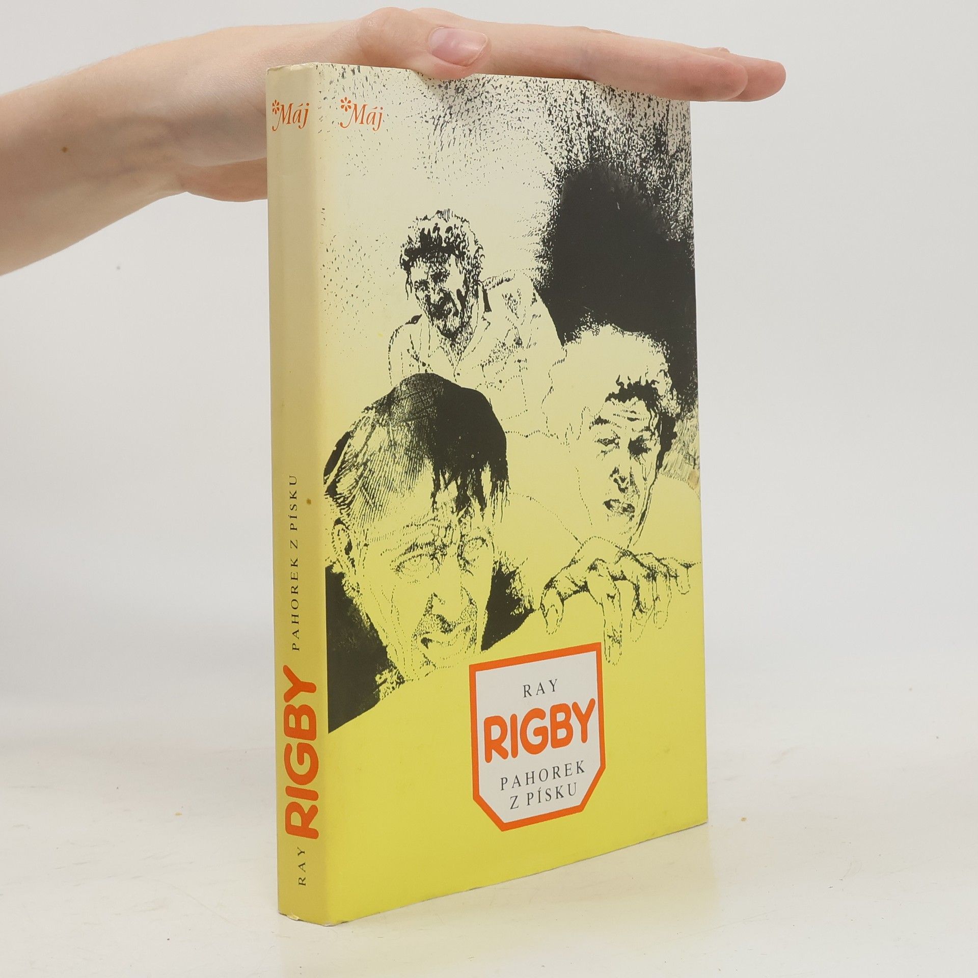 Ray Rigby Pahorek z písku