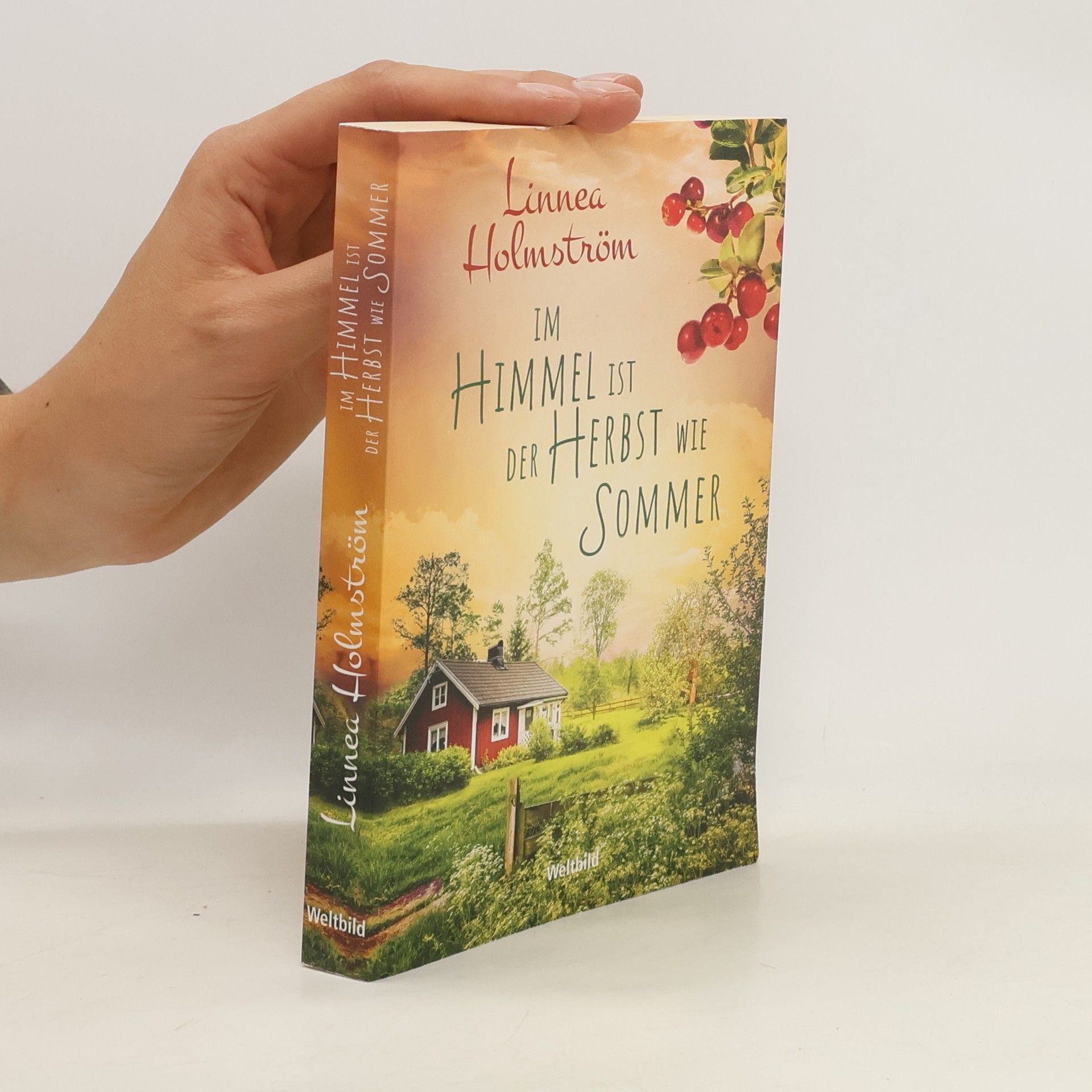 Linnea Holmström Im Himmel ist der Herbst wie Sommer