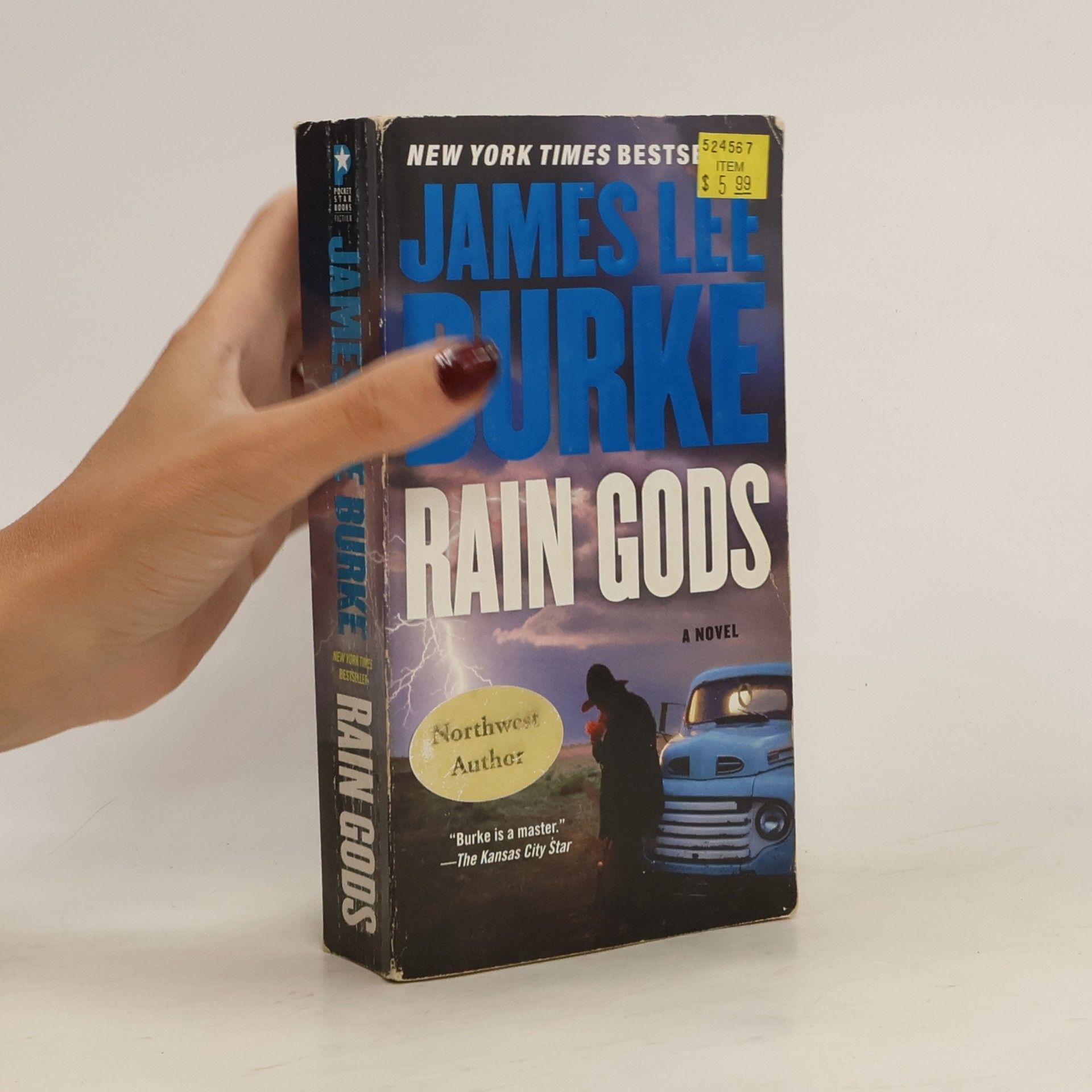 James Lee Burke Rain Gods