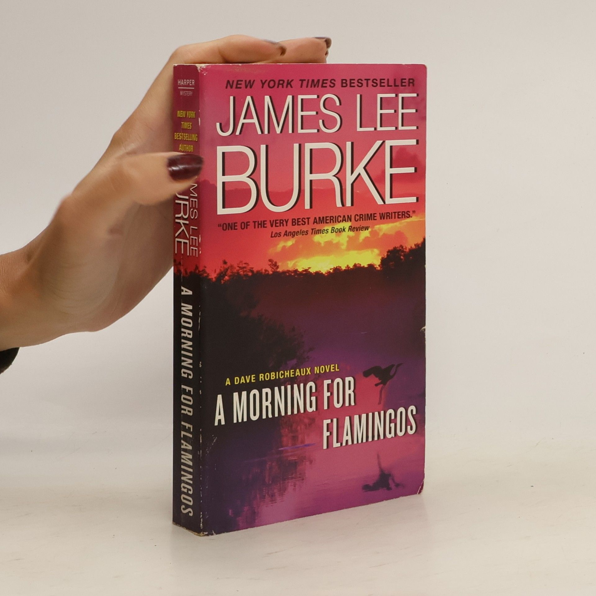 James Lee Burke A Morning for Flamingos
